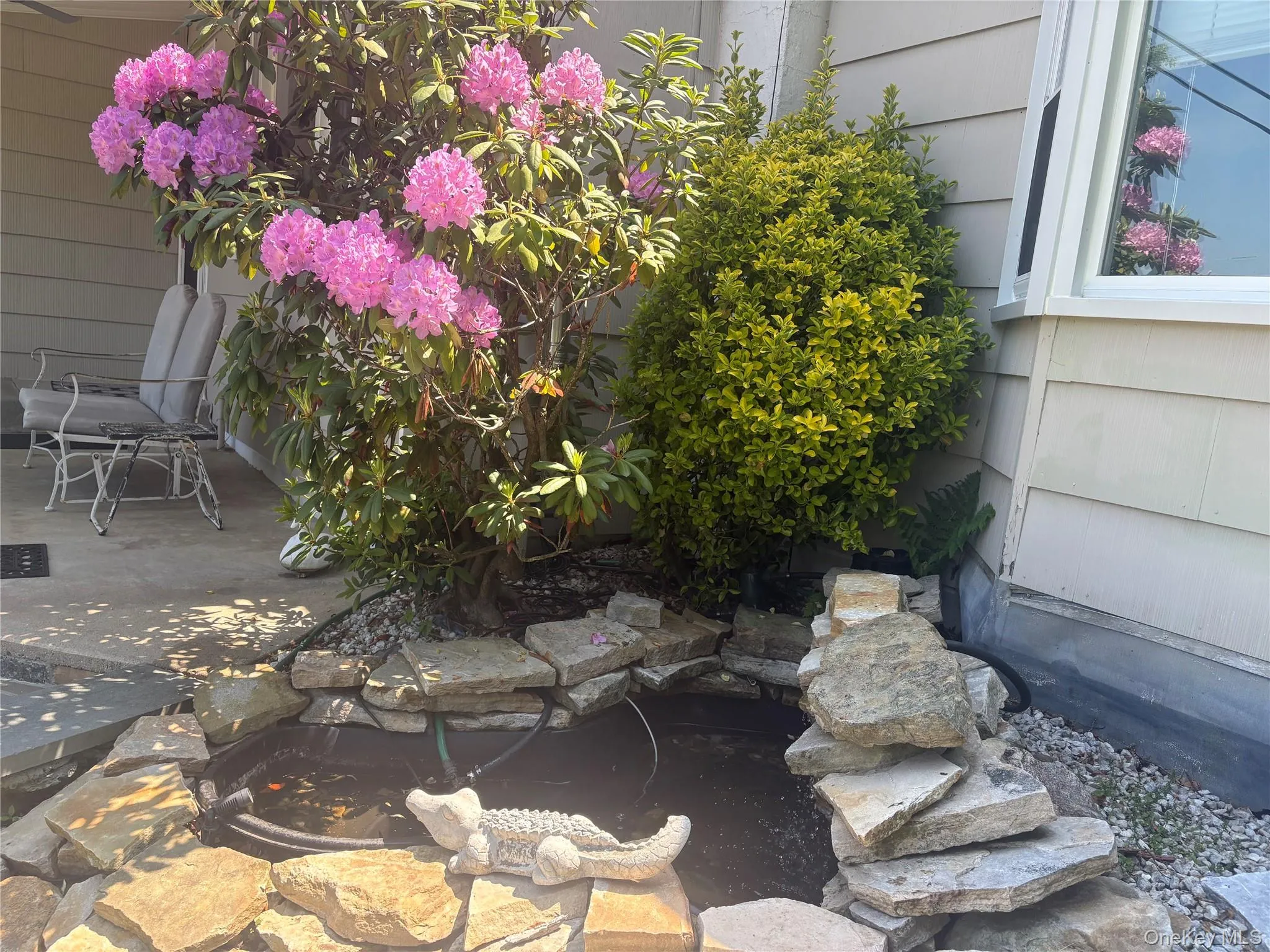 Fish Pond Stone-lined water feature with a waterfall element, surrounded by mature plantings including a flowering rhododendron. Fish Pond Stone-lined water feature with a waterfall element, surrounded by mature plantings including a flowering rhododendron.