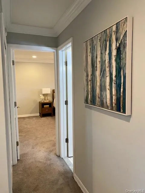 59 Claire Court, Babylon, NY, 1 Bedroom Bedrooms, 4 Rooms Rooms,1 BathroomBathrooms,Residential Lease,For Rent,Claire,0,985439 59 Claire Court, Babylon, NY, 1 Bedroom Bedrooms, 4 Rooms Rooms,1 BathroomBathrooms,Residential Lease,For Rent,Claire,0,985439