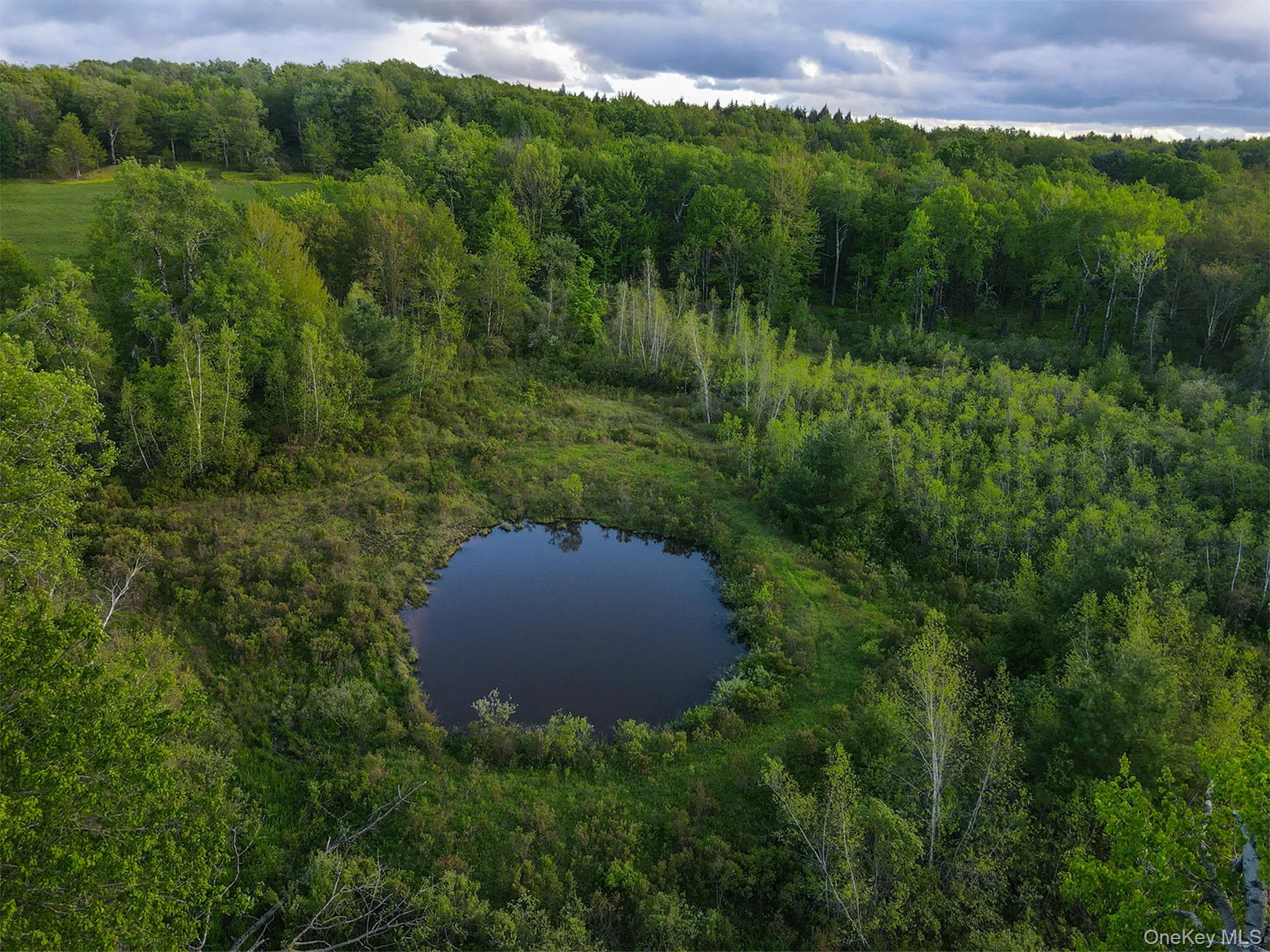 Large Pond Large Pond