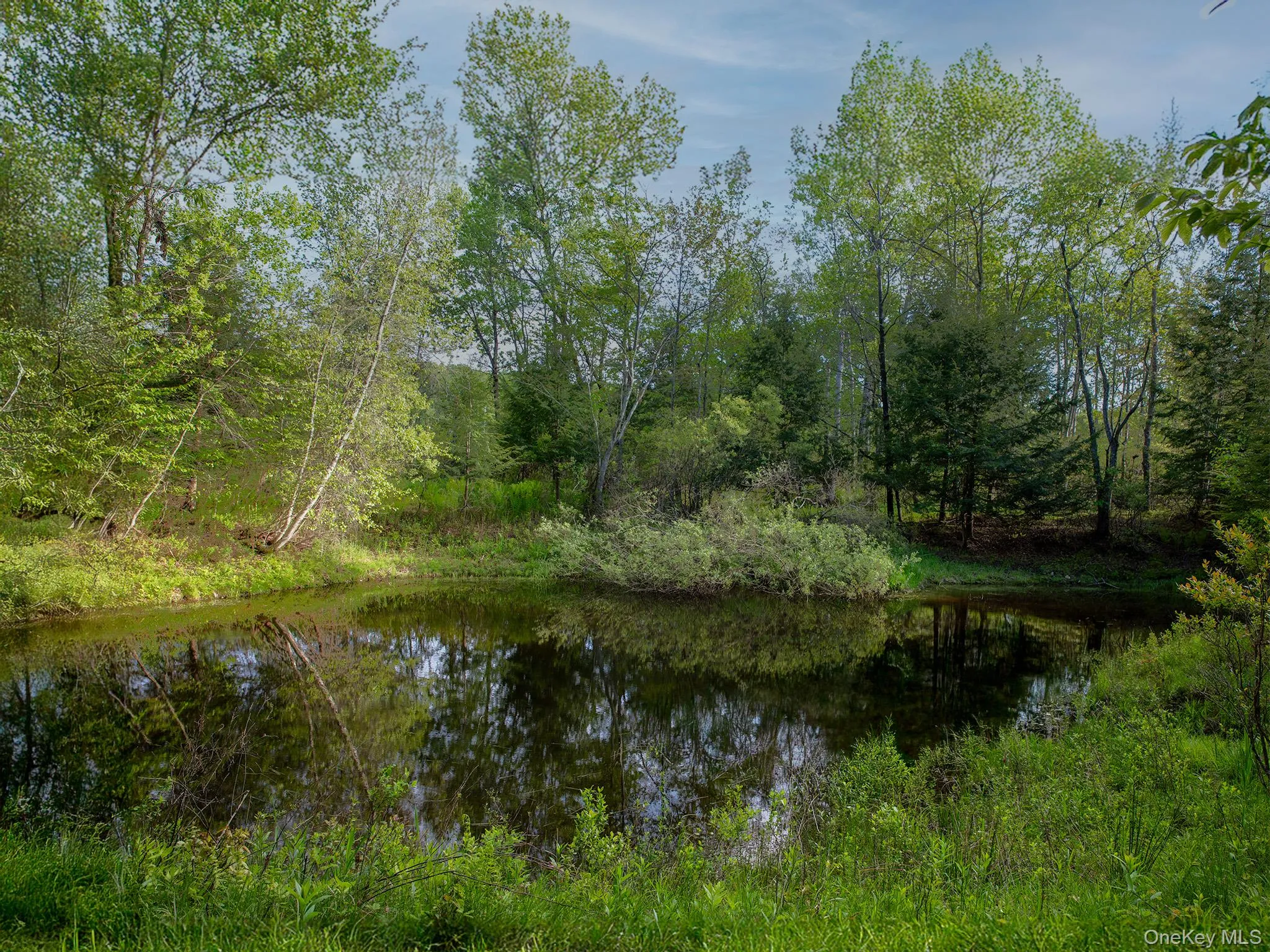 Pond View Pond View