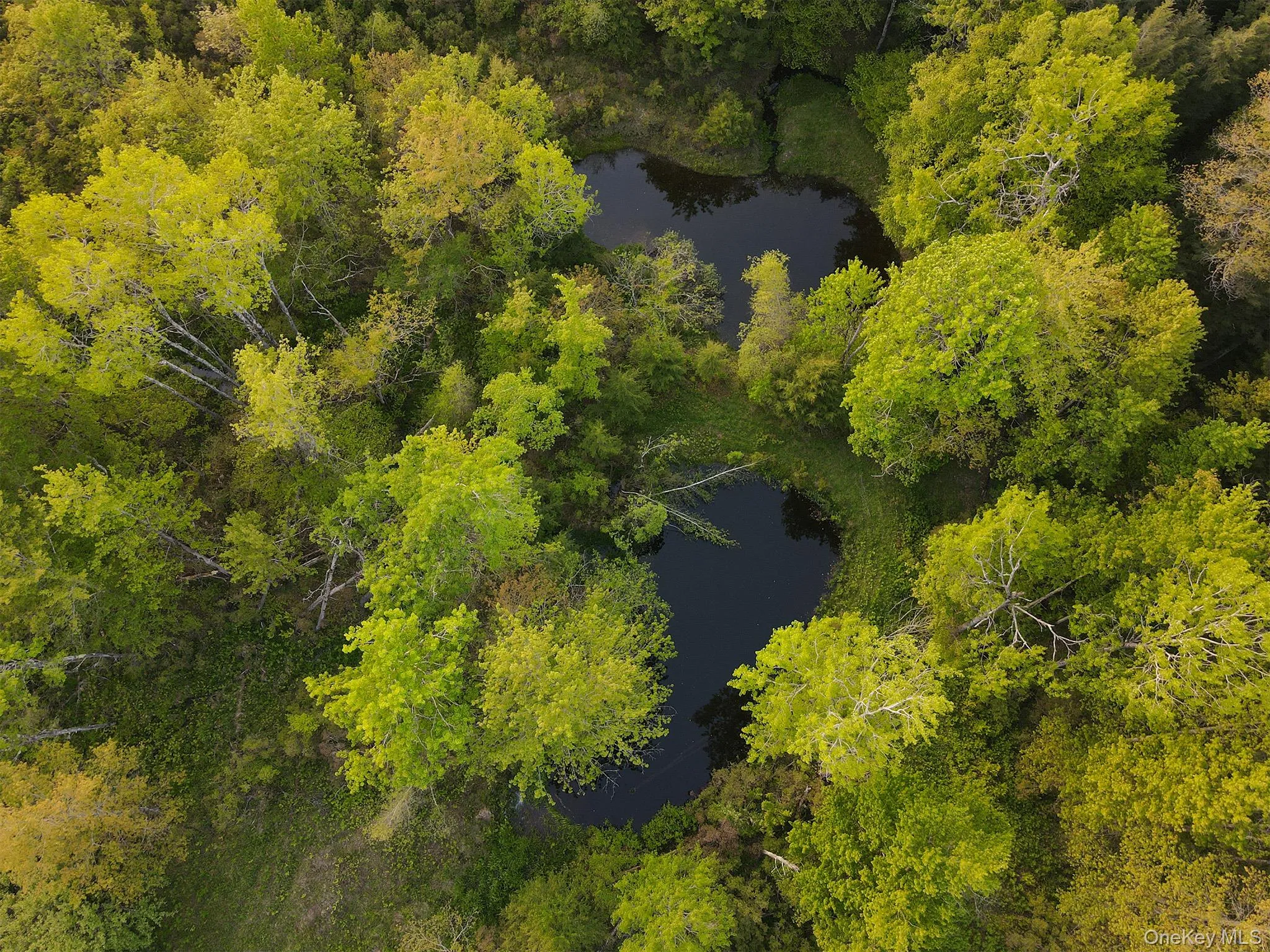 Two ponds Two ponds