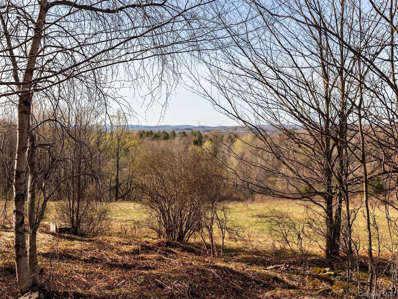 Horizon View Horizon View