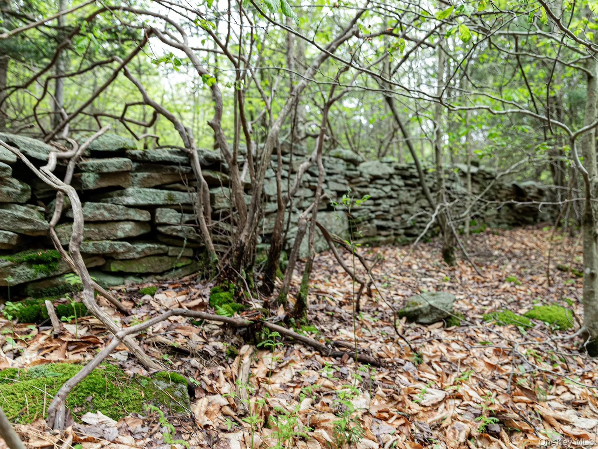Stone Wall Stone Wall
