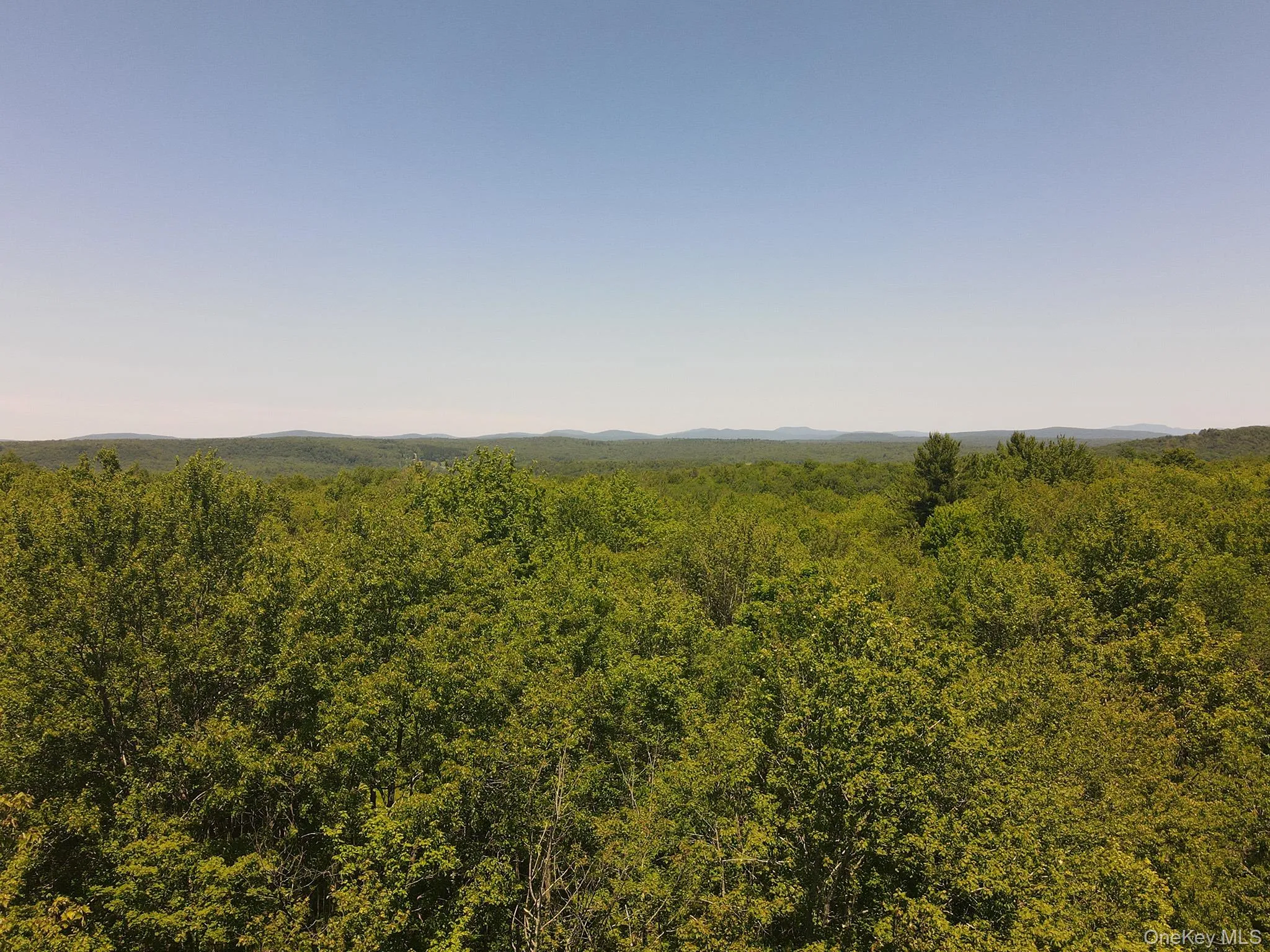 View of woods View of woods