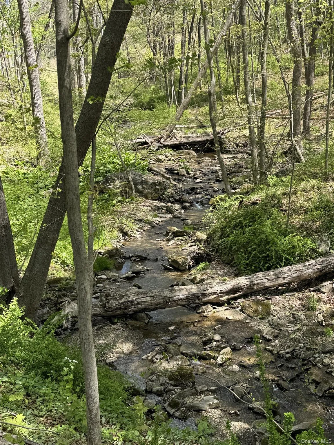Year-round stream with bridge Year-round stream with bridge