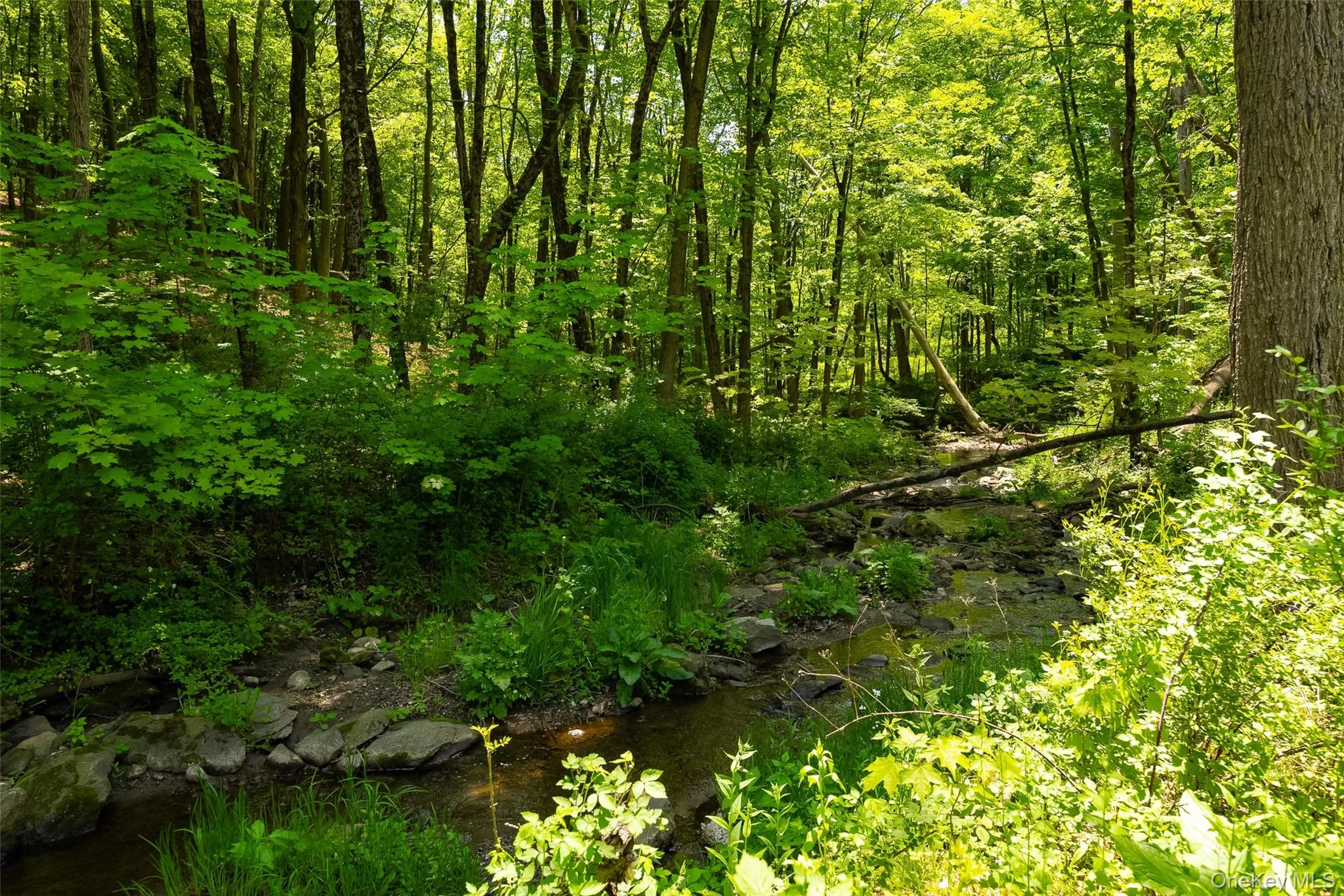 The soothing sounds of nature: A year-round stream meanders through the property The soothing sounds of nature: A year-round stream meanders through the property