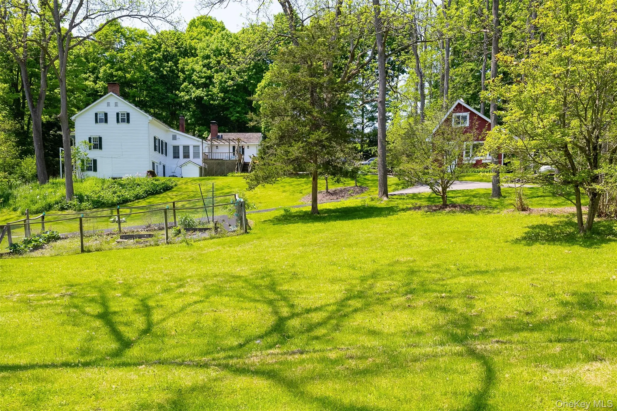 Expansive green lawn with mature trees Expansive green lawn with mature trees