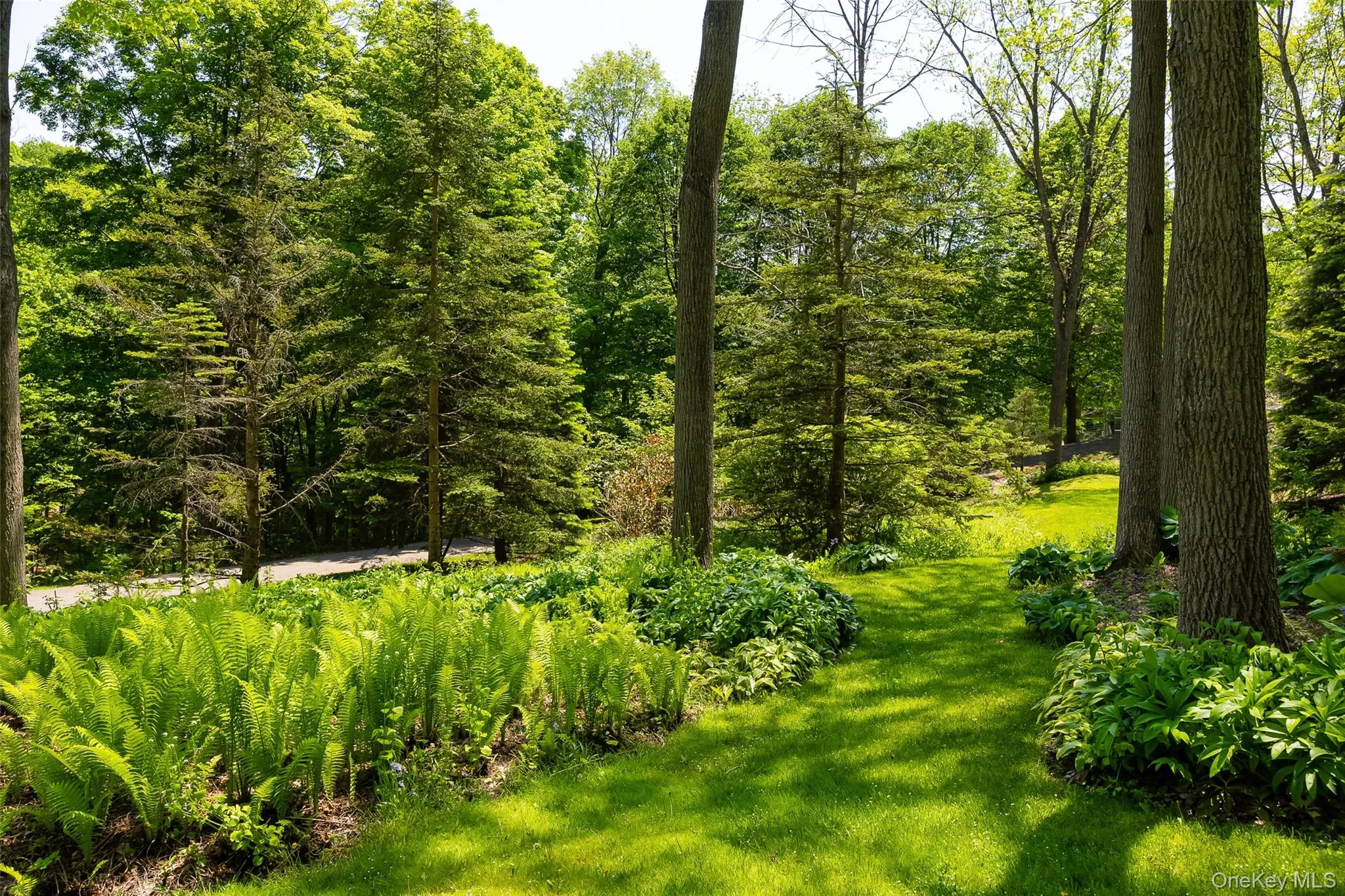 Lush, wooded grounds featuring a manicured lawn, established ferns, and mature deciduous and evergreen trees. and 8' high-tensile fence around about 35% of property. Lush, wooded grounds featuring a manicured lawn, established ferns, and mature deciduous and evergreen trees. and 8' high-tensile fence around about 35% of property.