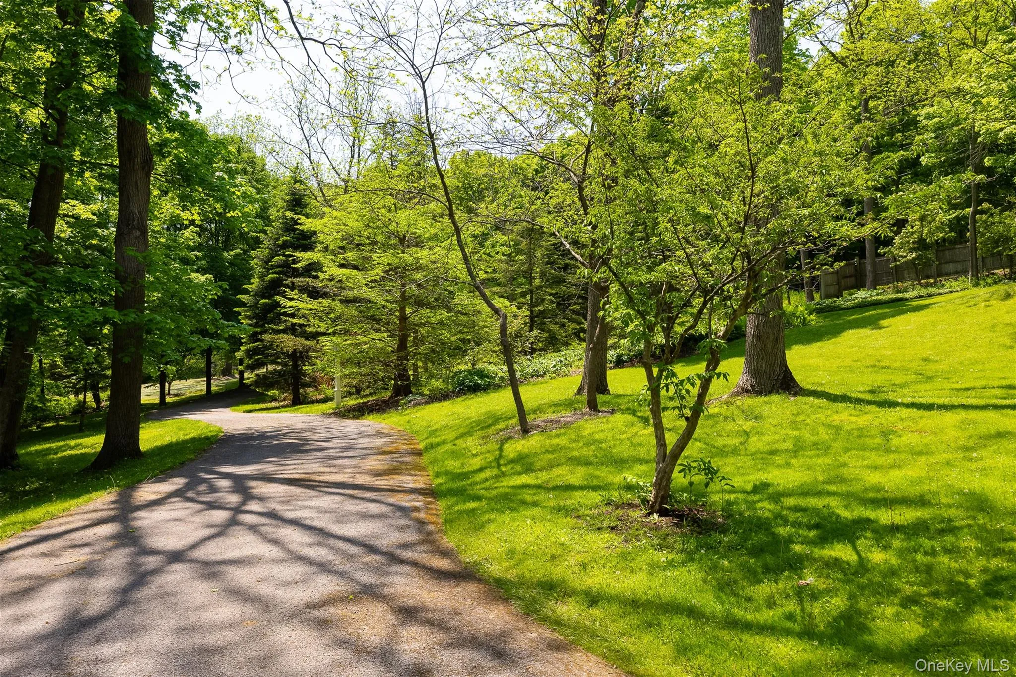 Meandering driveway with an allée of linden trees and various other specimens Meandering driveway with an allée of linden trees and various other specimens