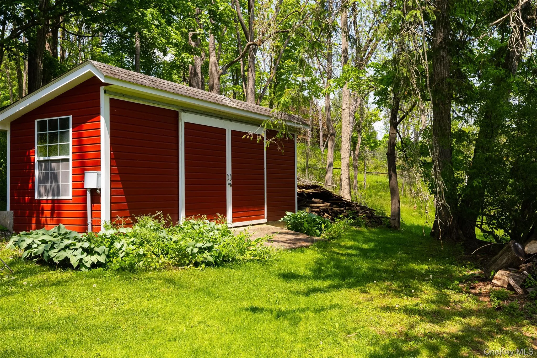 Shed Shed