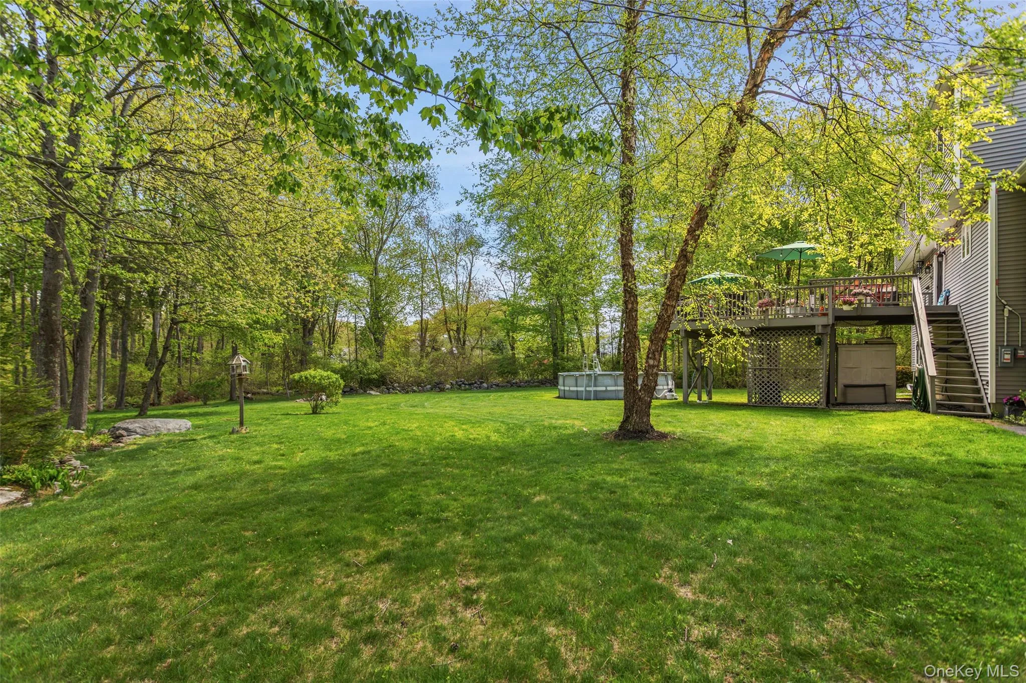 spacious backyard spacious backyard