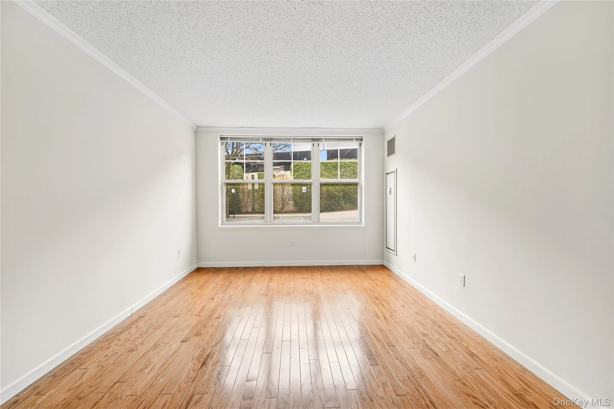 300 Mamaroneck Avenue, White Plains, NY, 1 Bedroom Bedrooms, 3 Rooms Rooms,1 BathroomBathrooms,Residential Lease,For Rent,Mamaroneck,0,985683 300 Mamaroneck Avenue, White Plains, NY, 1 Bedroom Bedrooms, 3 Rooms Rooms,1 BathroomBathrooms,Residential Lease,For Rent,Mamaroneck,0,985683