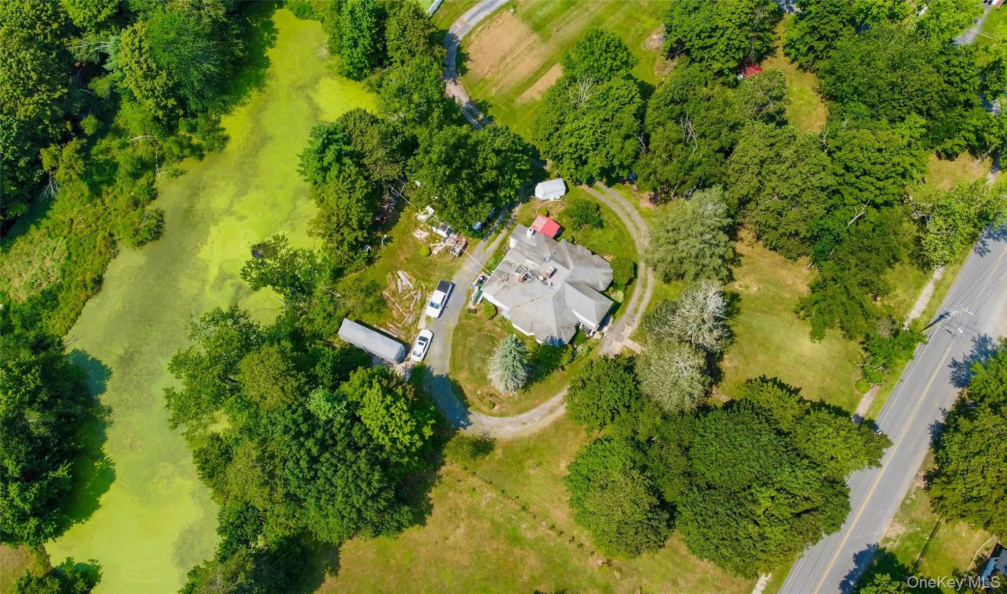 Bird's eye view Bird's eye view