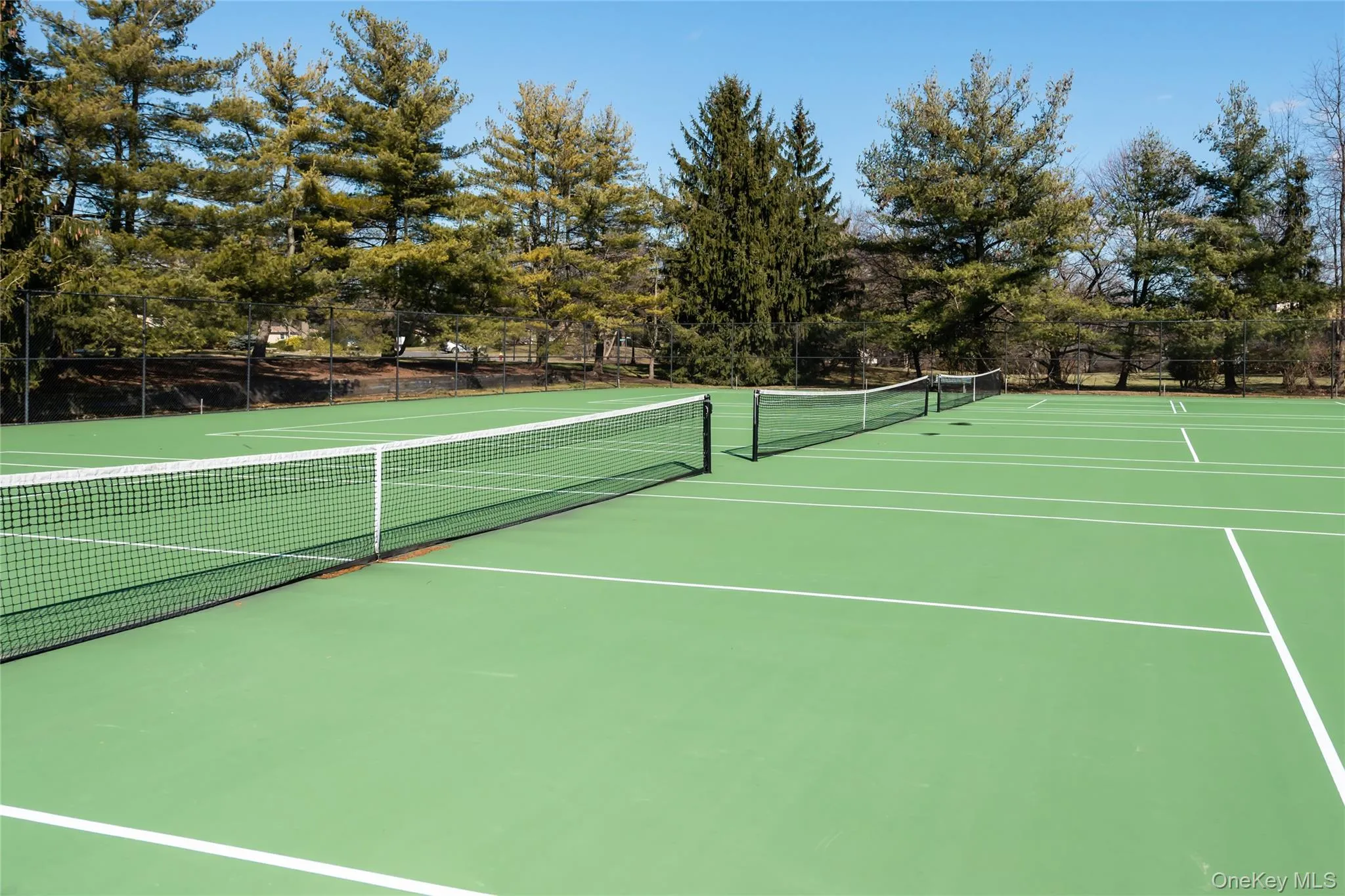 163 Doral Court, North Hempstead, NY, 3 Bedrooms Bedrooms, 7 Rooms Rooms,2 BathroomsBathrooms,Residential,For Rent,Doral,0,985776 163 Doral Court, North Hempstead, NY, 3 Bedrooms Bedrooms, 7 Rooms Rooms,2 BathroomsBathrooms,Residential,For Rent,Doral,0,985776