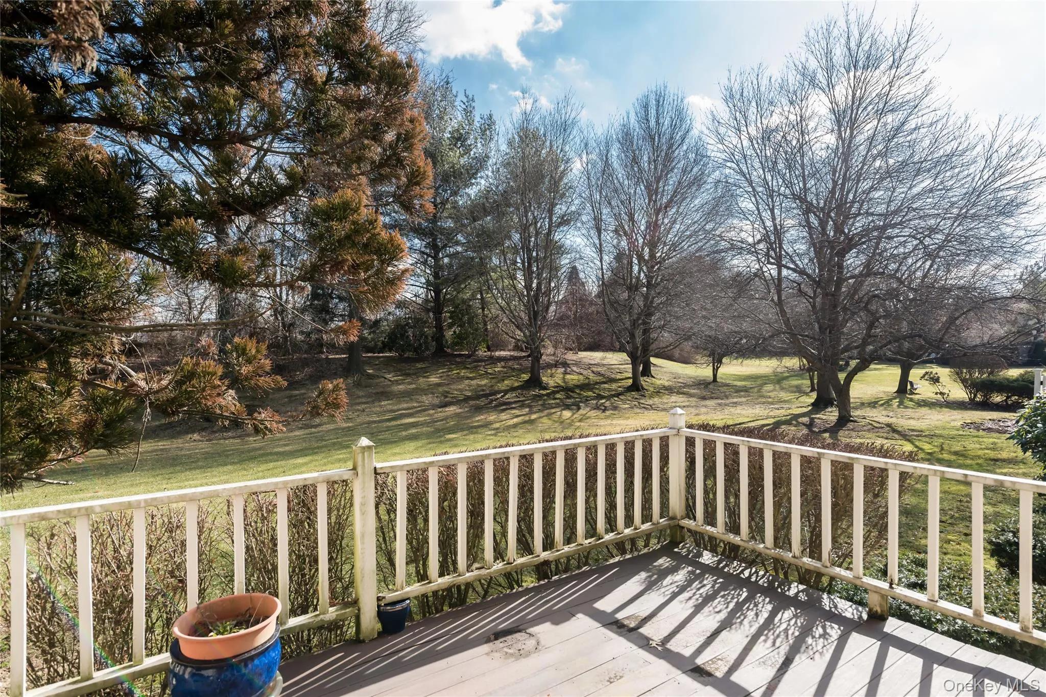 163 Doral Court, North Hempstead, NY, 3 Bedrooms Bedrooms, 7 Rooms Rooms,2 BathroomsBathrooms,Residential,For Rent,Doral,0,985776 163 Doral Court, North Hempstead, NY, 3 Bedrooms Bedrooms, 7 Rooms Rooms,2 BathroomsBathrooms,Residential,For Rent,Doral,0,985776