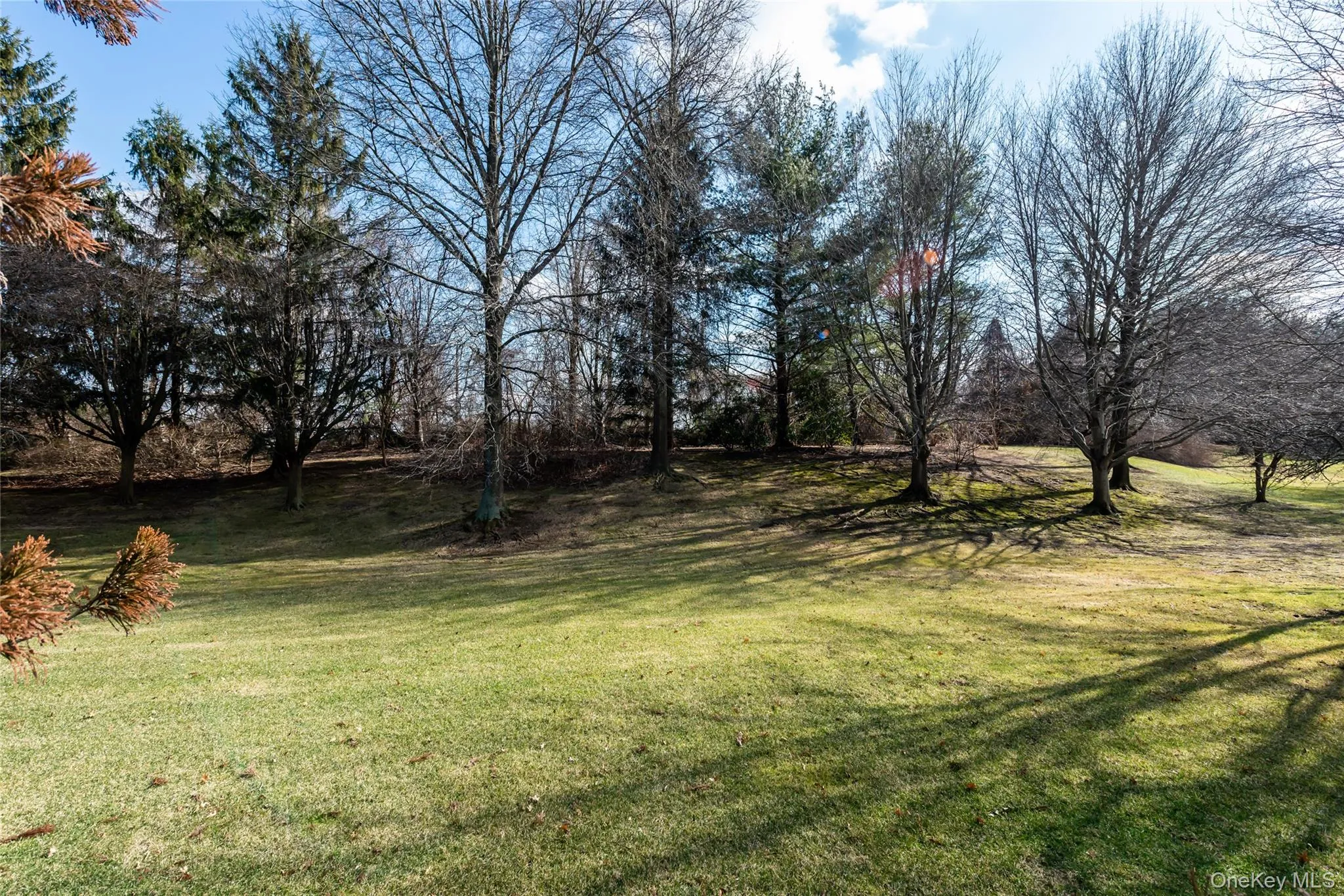 163 Doral Court, North Hempstead, NY, 3 Bedrooms Bedrooms, 7 Rooms Rooms,2 BathroomsBathrooms,Residential,For Rent,Doral,0,985776 163 Doral Court, North Hempstead, NY, 3 Bedrooms Bedrooms, 7 Rooms Rooms,2 BathroomsBathrooms,Residential,For Rent,Doral,0,985776