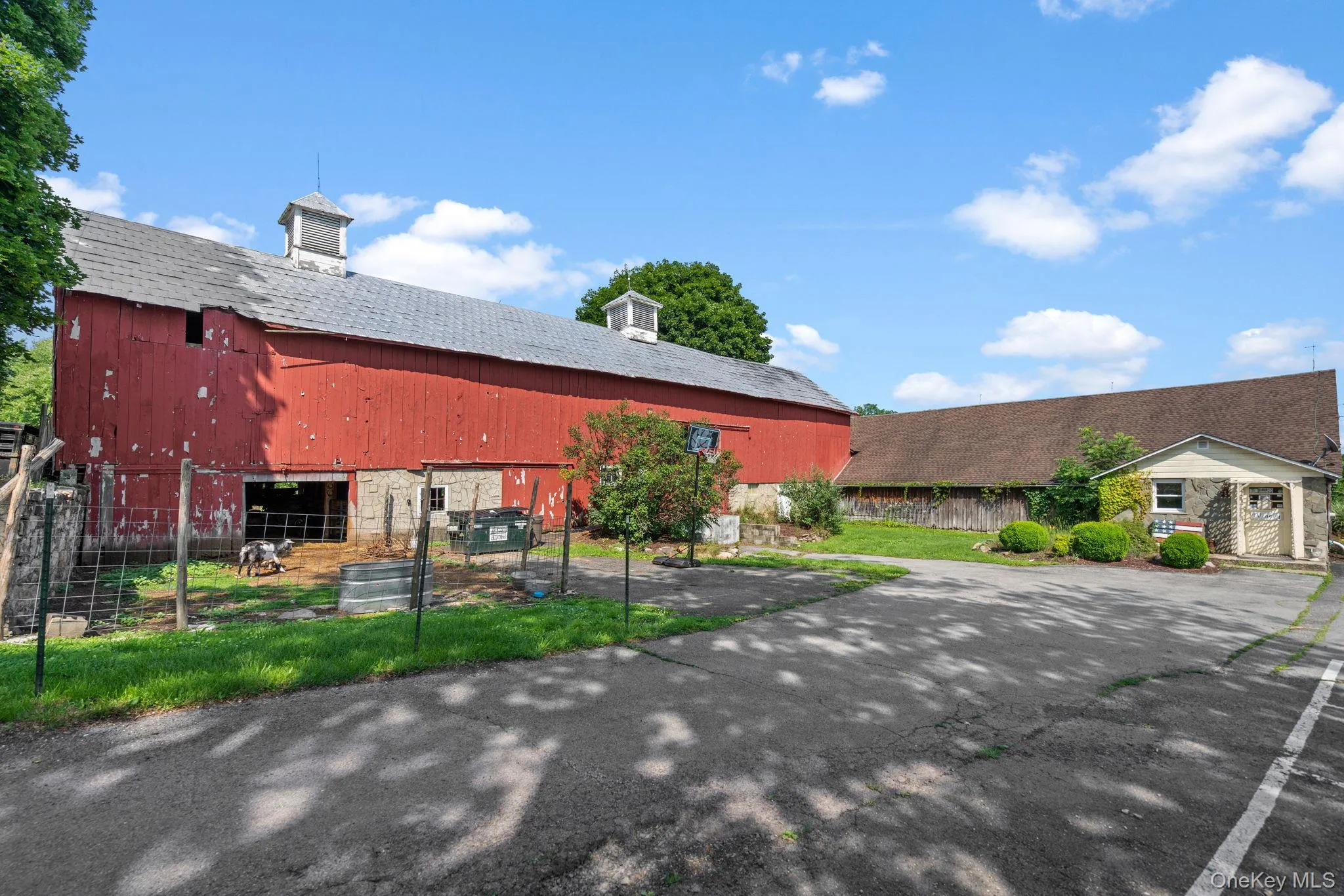 174 Hardenburgh Road, Shawangunk, NY, 3 Bedrooms Bedrooms, 10 Rooms Rooms,2 BathroomsBathrooms,Residential,For Rent,Hardenburgh,0,985820 174 Hardenburgh Road, Shawangunk, NY, 3 Bedrooms Bedrooms, 10 Rooms Rooms,2 BathroomsBathrooms,Residential,For Rent,Hardenburgh,0,985820