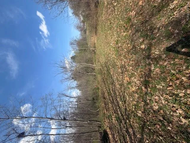 Land Land