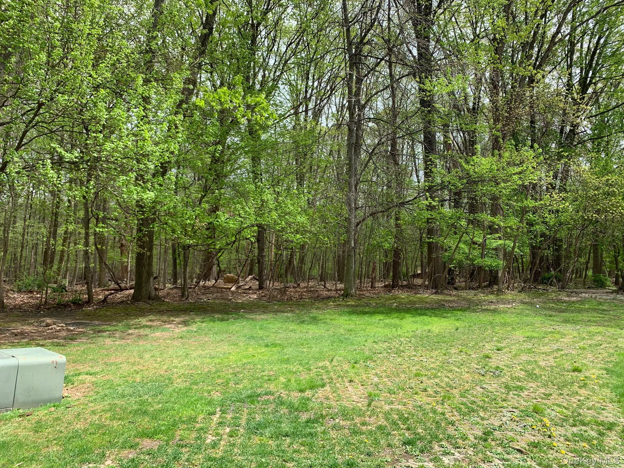 View of yard featuring a wooded view View of yard featuring a wooded view