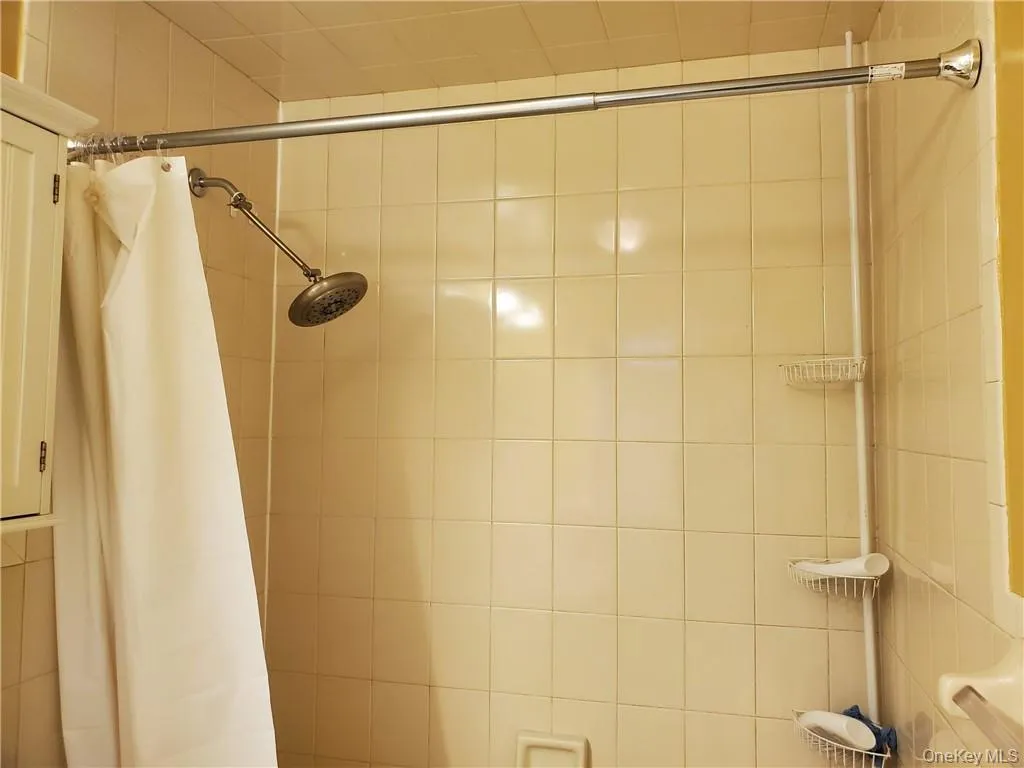 Lower level shower and bath. Lower level shower and bath.