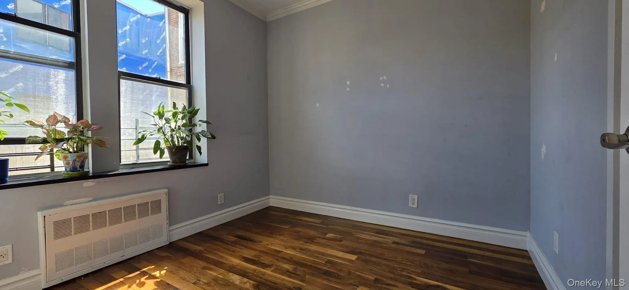 133 Lincoln Avenue, North Hempstead, NY, 2 Bedrooms Bedrooms, 4 Rooms Rooms,1 BathroomBathrooms,Residential Lease,For Rent,Lincoln Avenue,0,986042 133 Lincoln Avenue, North Hempstead, NY, 2 Bedrooms Bedrooms, 4 Rooms Rooms,1 BathroomBathrooms,Residential Lease,For Rent,Lincoln Avenue,0,986042