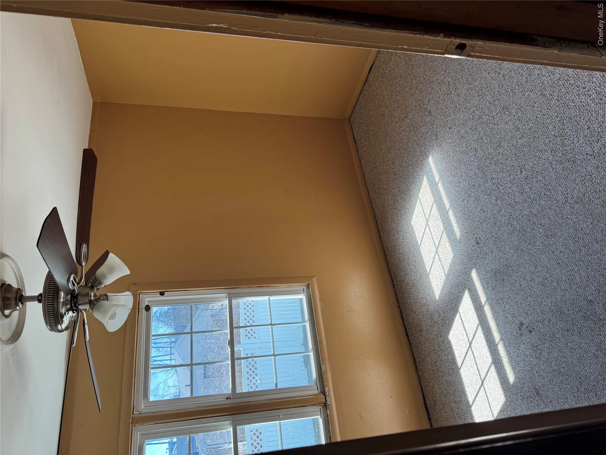 61 Delafield Street, Poughkeepsie, NY, 3 Bedrooms Bedrooms, 5 Rooms Rooms,1 BathroomBathrooms,Residential Lease,For Rent,Delafield,0,986054 61 Delafield Street, Poughkeepsie, NY, 3 Bedrooms Bedrooms, 5 Rooms Rooms,1 BathroomBathrooms,Residential Lease,For Rent,Delafield,0,986054