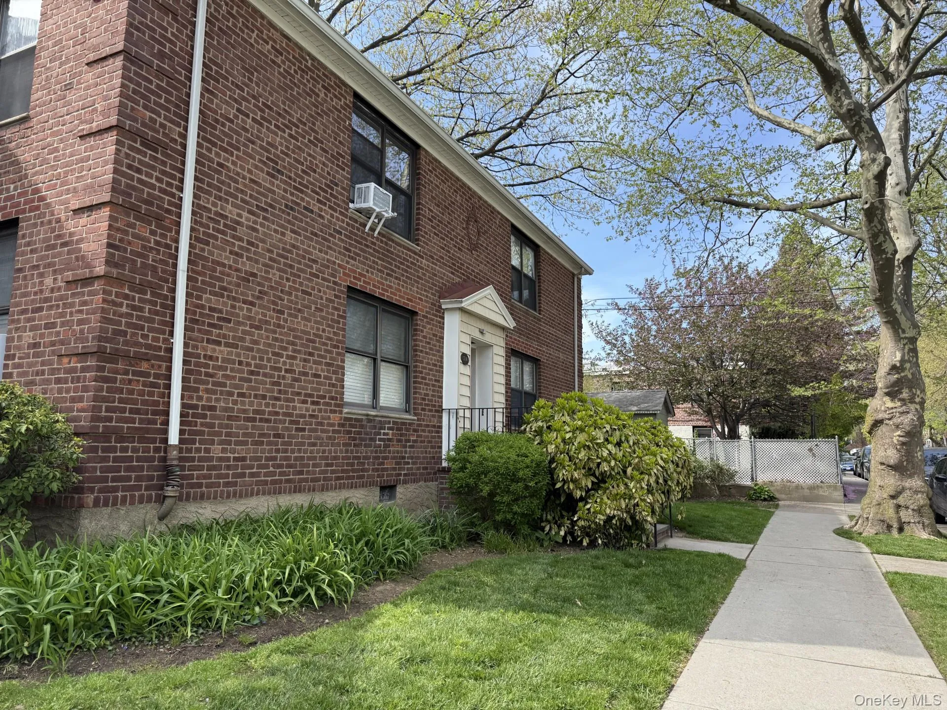 Tree-lined quiet street Tree-lined quiet street