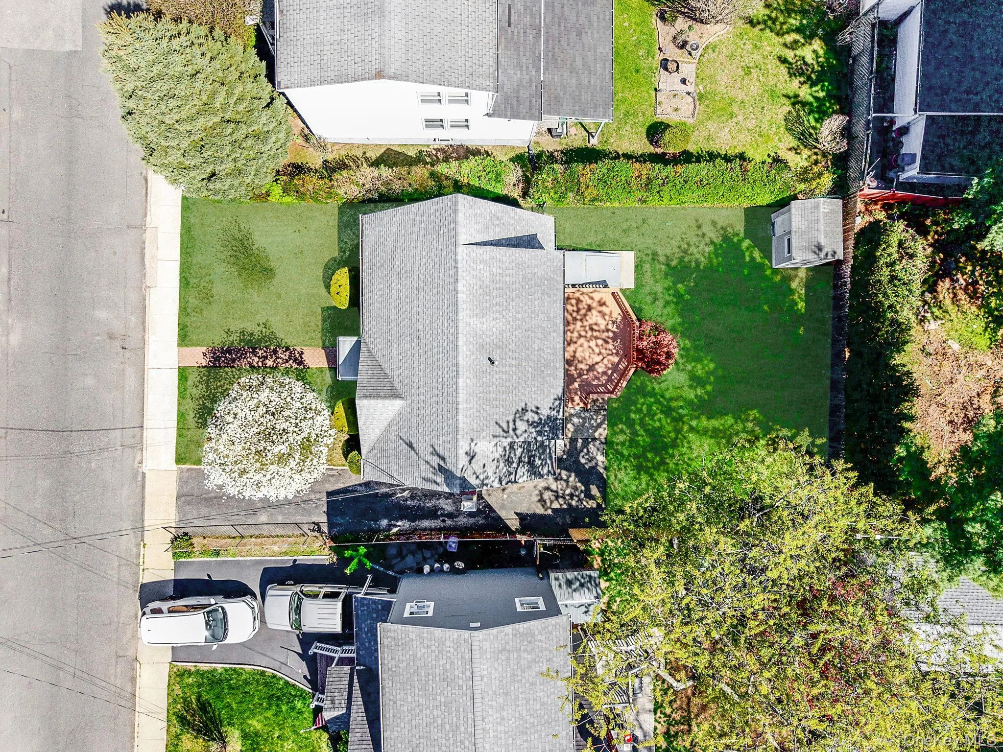 Bird Eye Bird Eye