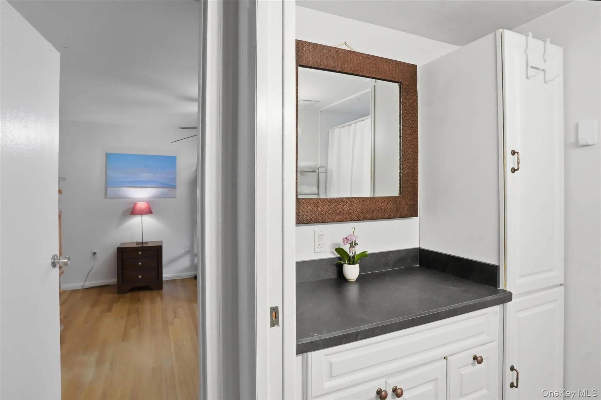 Vanity area featuring white cabinetry, dark countertop, and a framed mirror Vanity area featuring white cabinetry, dark countertop, and a framed mirror