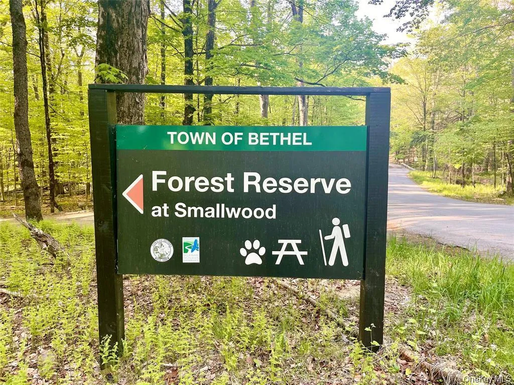 412 Pine Grove Road, Bethel, NY, 4 Bedrooms Bedrooms, 9 Rooms Rooms,3 BathroomsBathrooms,Residential,For Rent,Pine Grove,0,986192 412 Pine Grove Road, Bethel, NY, 4 Bedrooms Bedrooms, 9 Rooms Rooms,3 BathroomsBathrooms,Residential,For Rent,Pine Grove,0,986192