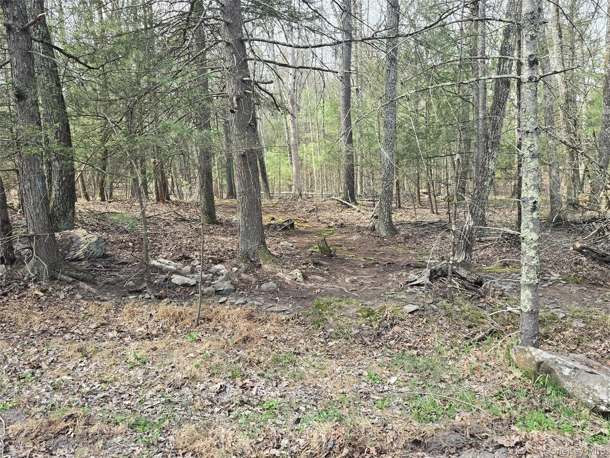 Lot 5 Evergreen Drive, Saugerties, NY, ,Land,For Rent,Evergreen,0,986201 Lot 5 Evergreen Drive, Saugerties, NY, ,Land,For Rent,Evergreen,0,986201