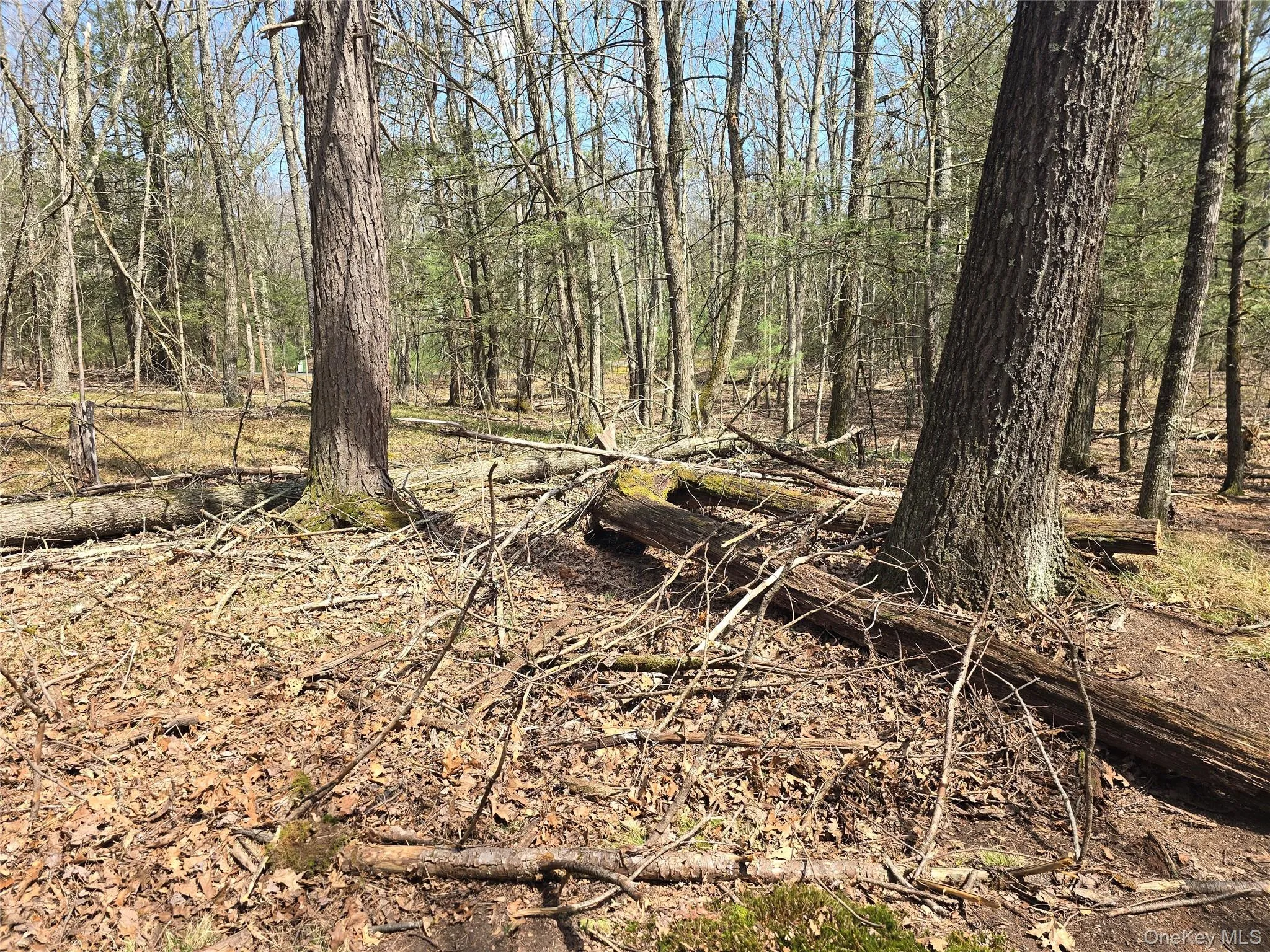 Lot 5 Evergreen Drive, Saugerties, NY, ,Land,For Rent,Evergreen,0,986201 Lot 5 Evergreen Drive, Saugerties, NY, ,Land,For Rent,Evergreen,0,986201