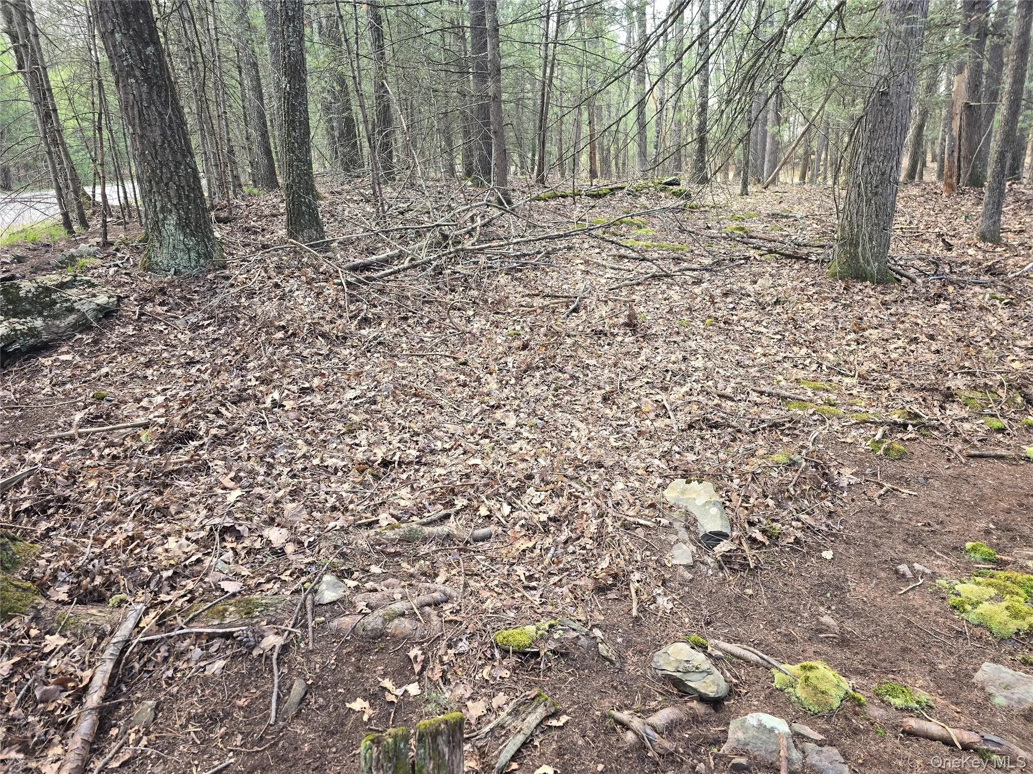 Lot 5 Evergreen Drive, Saugerties, NY, ,Land,For Rent,Evergreen,0,986201 Lot 5 Evergreen Drive, Saugerties, NY, ,Land,For Rent,Evergreen,0,986201