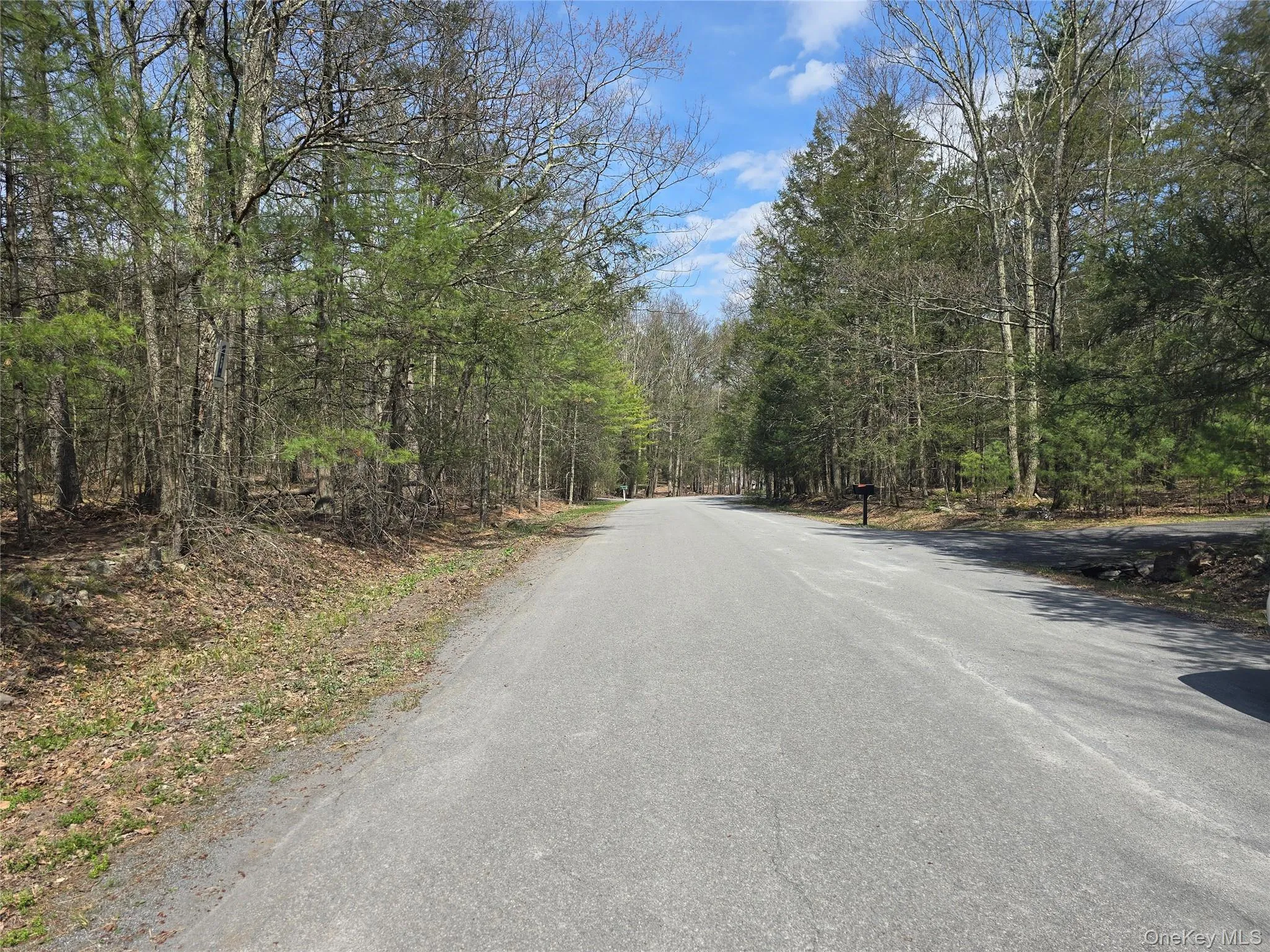 Lot 5 Evergreen Drive, Saugerties, NY, ,Land,For Rent,Evergreen,0,986201 Lot 5 Evergreen Drive, Saugerties, NY, ,Land,For Rent,Evergreen,0,986201