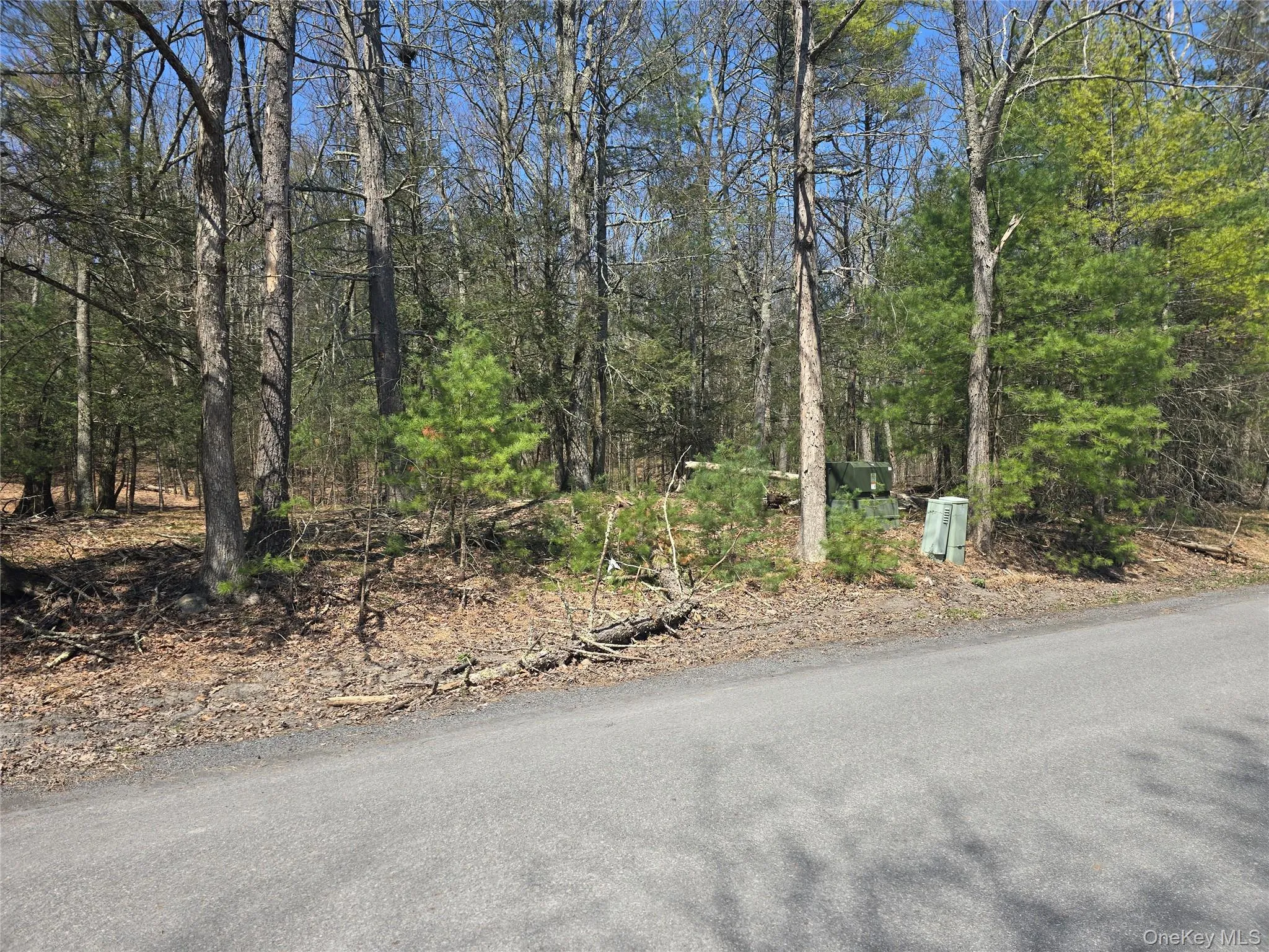 Lot 5 Evergreen Drive, Saugerties, NY, ,Land,For Rent,Evergreen,0,986201 Lot 5 Evergreen Drive, Saugerties, NY, ,Land,For Rent,Evergreen,0,986201
