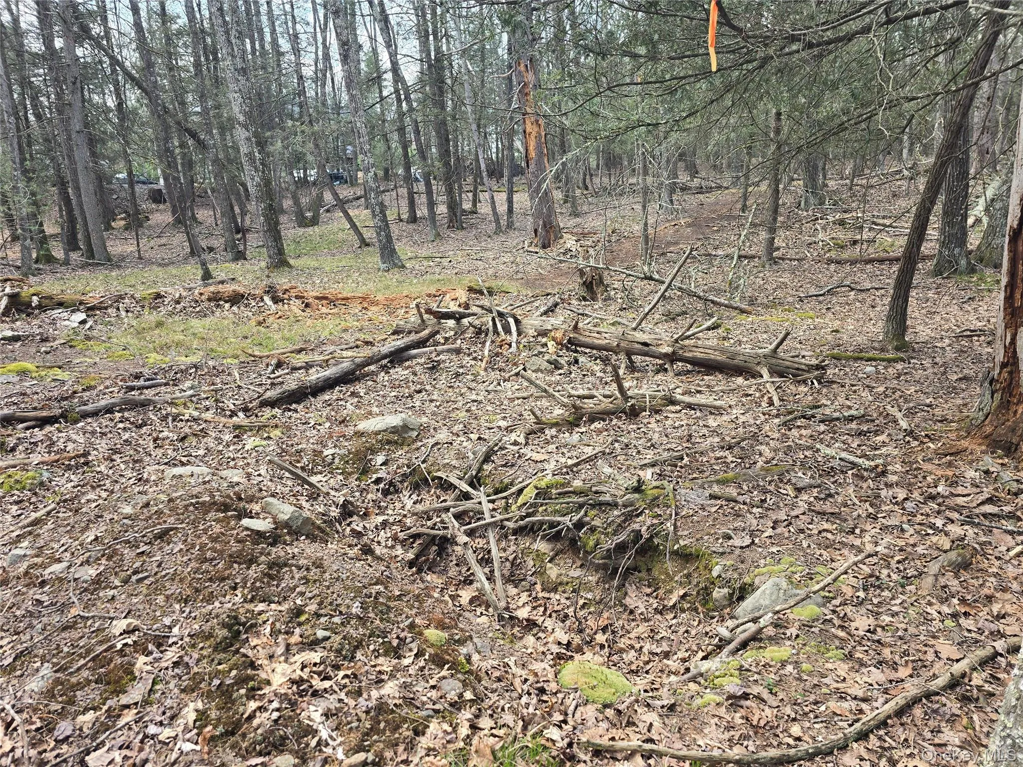 Lot 5 Evergreen Drive, Saugerties, NY, ,Land,For Rent,Evergreen,0,986201 Lot 5 Evergreen Drive, Saugerties, NY, ,Land,For Rent,Evergreen,0,986201