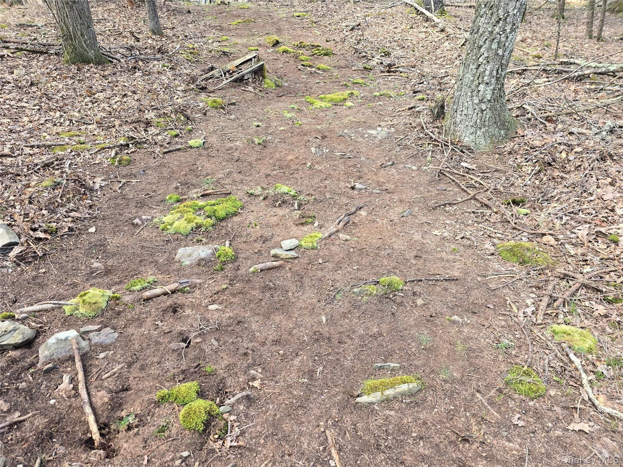 Lot 5 Evergreen Drive, Saugerties, NY, ,Land,For Rent,Evergreen,0,986201 Lot 5 Evergreen Drive, Saugerties, NY, ,Land,For Rent,Evergreen,0,986201
