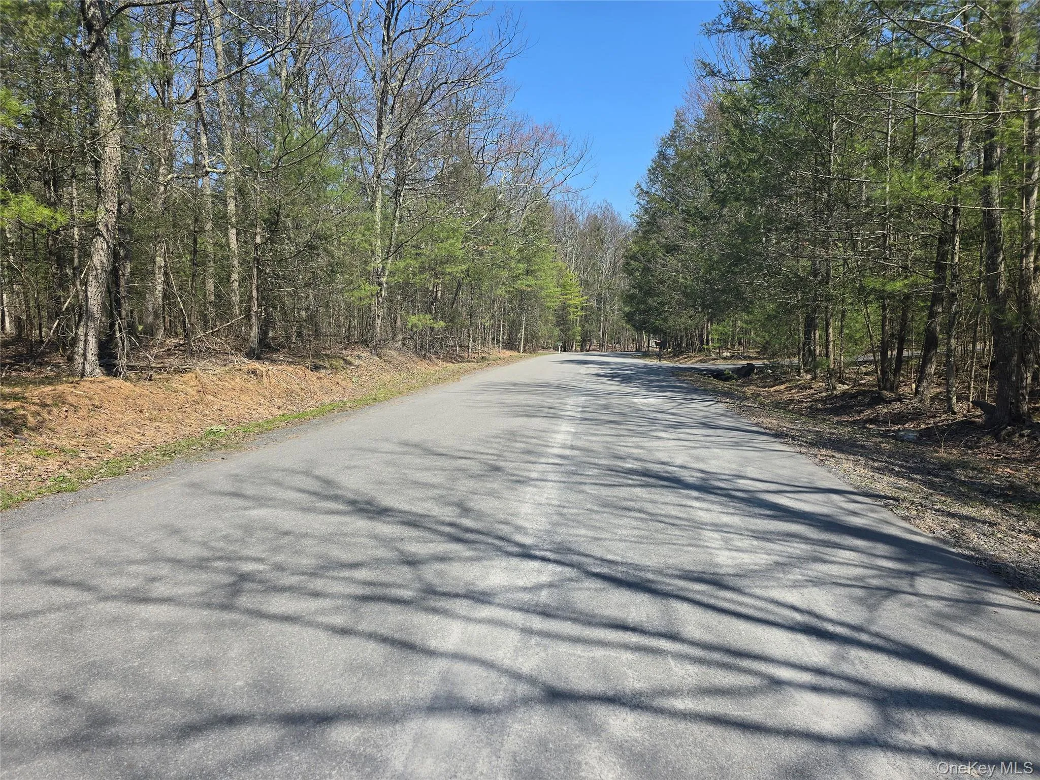 Lot 5 Evergreen Drive, Saugerties, NY, ,Land,For Rent,Evergreen,0,986201 Lot 5 Evergreen Drive, Saugerties, NY, ,Land,For Rent,Evergreen,0,986201