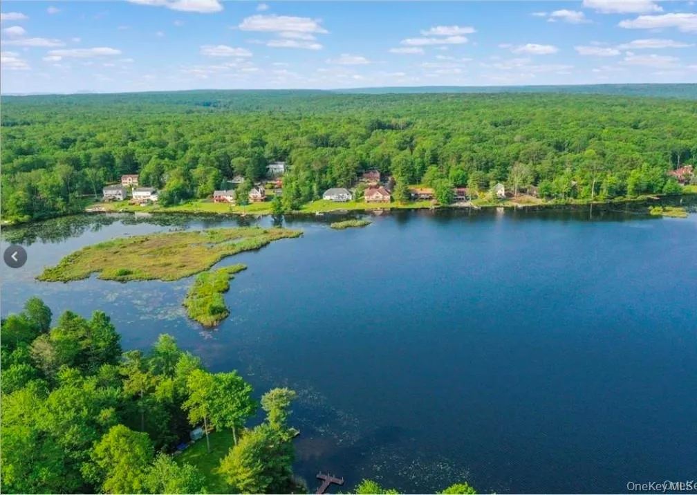 119 Lake Shore Drive, Thompson, NY, 3 Bedrooms Bedrooms, 8 Rooms Rooms,2 BathroomsBathrooms,Residential,For Rent,Lake Shore,0,986218 119 Lake Shore Drive, Thompson, NY, 3 Bedrooms Bedrooms, 8 Rooms Rooms,2 BathroomsBathrooms,Residential,For Rent,Lake Shore,0,986218