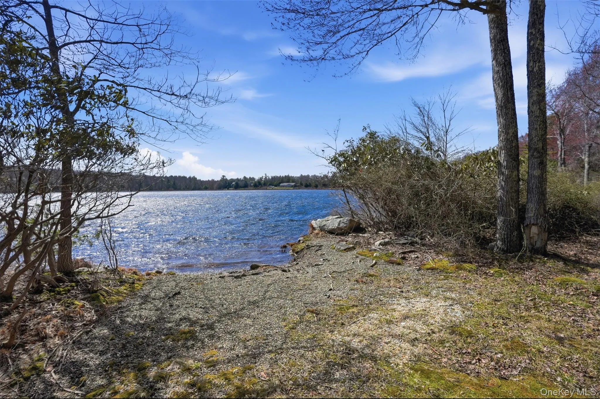 119 Lake Shore Drive, Thompson, NY, 3 Bedrooms Bedrooms, 8 Rooms Rooms,2 BathroomsBathrooms,Residential,For Rent,Lake Shore,0,986218 119 Lake Shore Drive, Thompson, NY, 3 Bedrooms Bedrooms, 8 Rooms Rooms,2 BathroomsBathrooms,Residential,For Rent,Lake Shore,0,986218