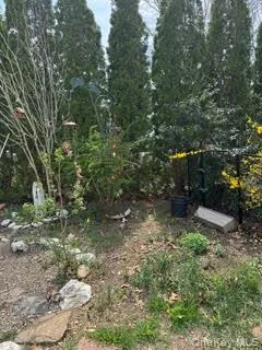 Nice size yard Nice size yard