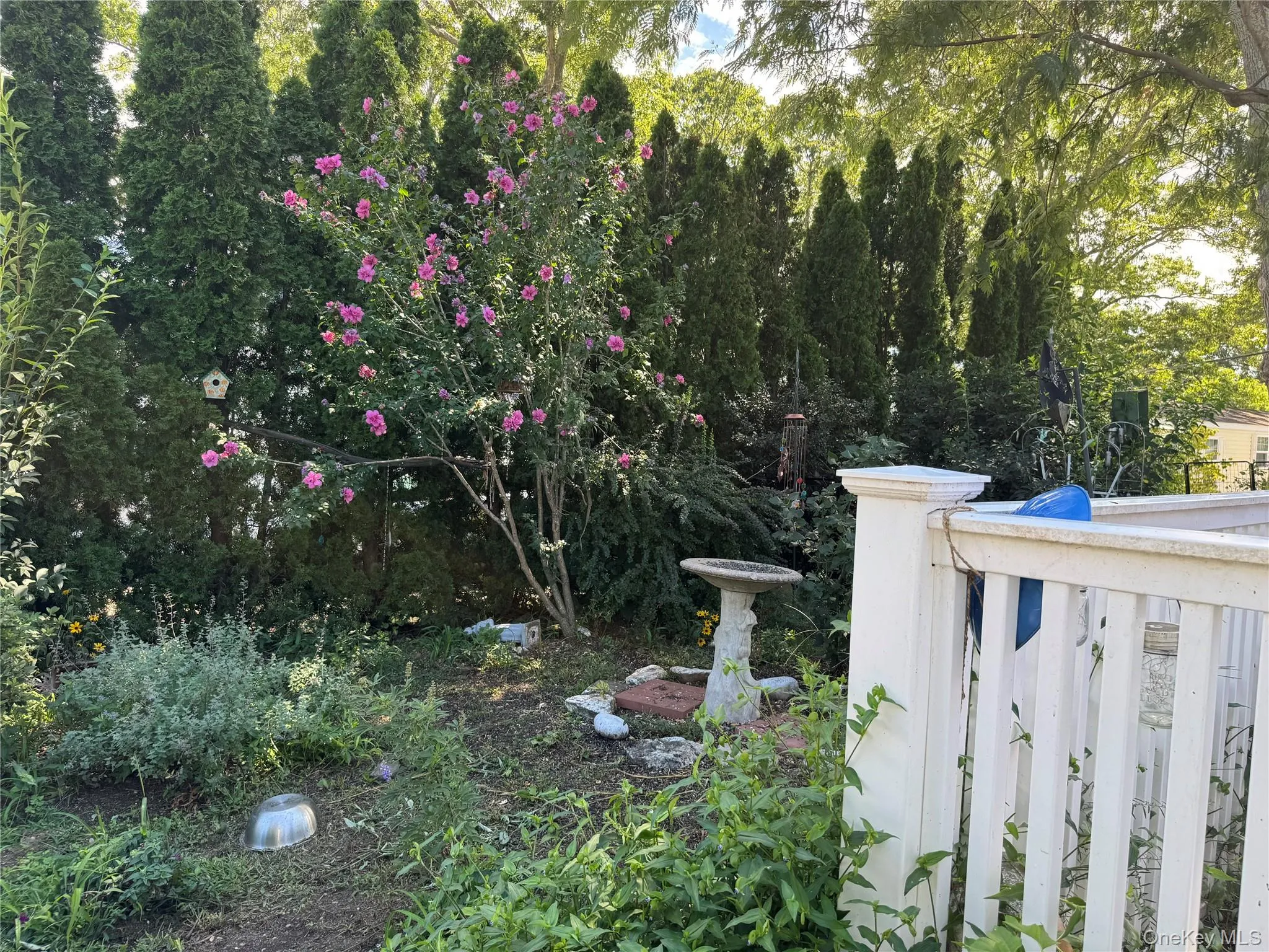 1964 River Road, Riverhead, NY, 2 Bedrooms Bedrooms, 5 Rooms Rooms,1 BathroomBathrooms,Residential,For Rent,River,0,986224 1964 River Road, Riverhead, NY, 2 Bedrooms Bedrooms, 5 Rooms Rooms,1 BathroomBathrooms,Residential,For Rent,River,0,986224