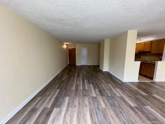 Unfurnished living room featuring a sink, baseboards, a textured ceiling, and dark wood-style floors Unfurnished living room featuring a sink, baseboards, a textured ceiling, and dark wood-style floors