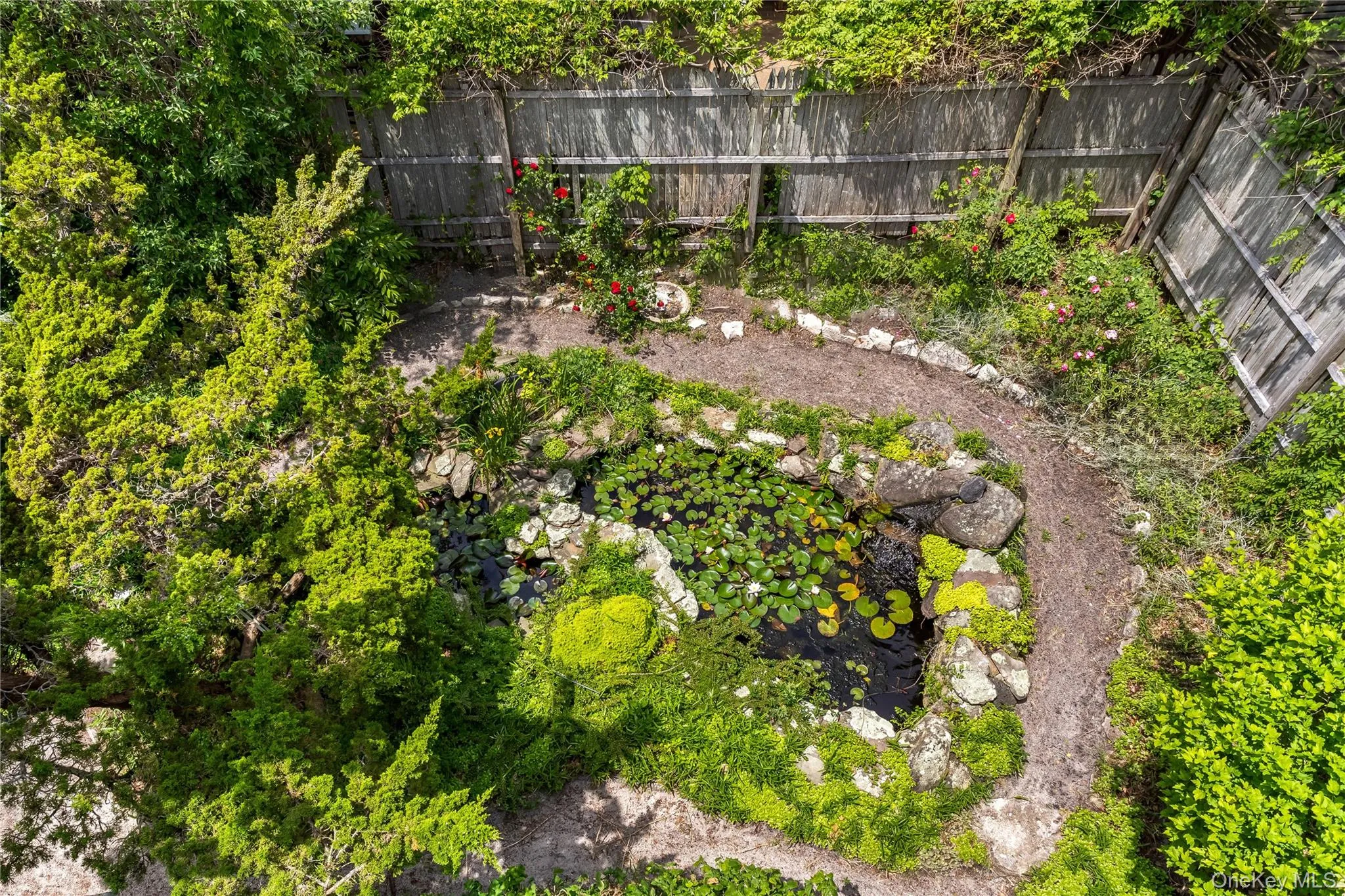 146 Doctors Walk, Brookhaven, NY, 4 Bedrooms Bedrooms, 8 Rooms Rooms,2 BathroomsBathrooms,Residential,For Rent,Doctors,0,986343 146 Doctors Walk, Brookhaven, NY, 4 Bedrooms Bedrooms, 8 Rooms Rooms,2 BathroomsBathrooms,Residential,For Rent,Doctors,0,986343