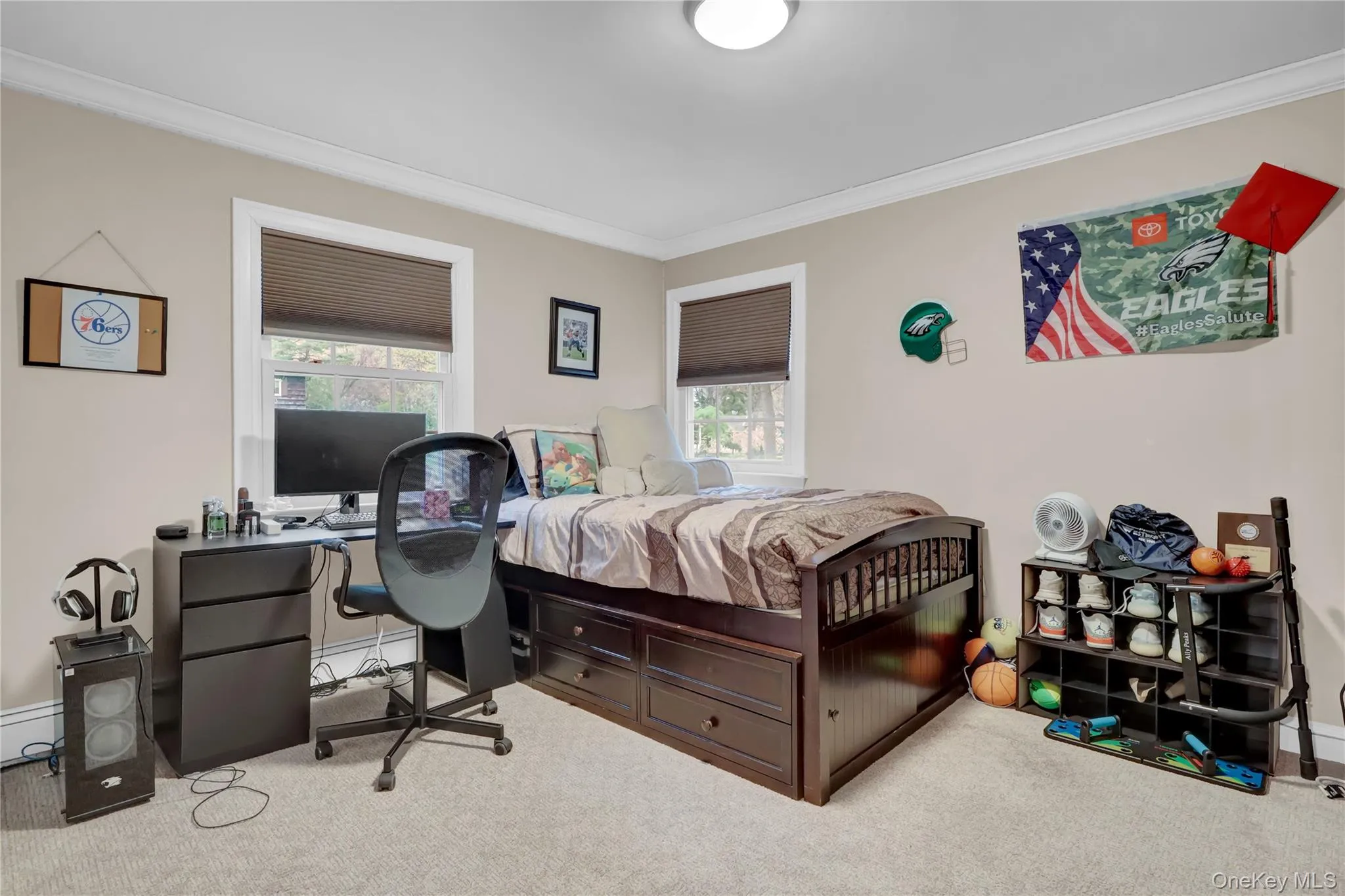 Carpeted room featuring two windows with blinds, crown molding, and a flush-mount ceiling light Carpeted room featuring two windows with blinds, crown molding, and a flush-mount ceiling light