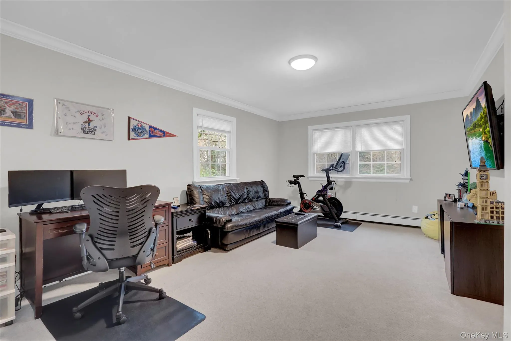 Neutral wall paint, crown molding, and two windows with blinds Neutral wall paint, crown molding, and two windows with blinds