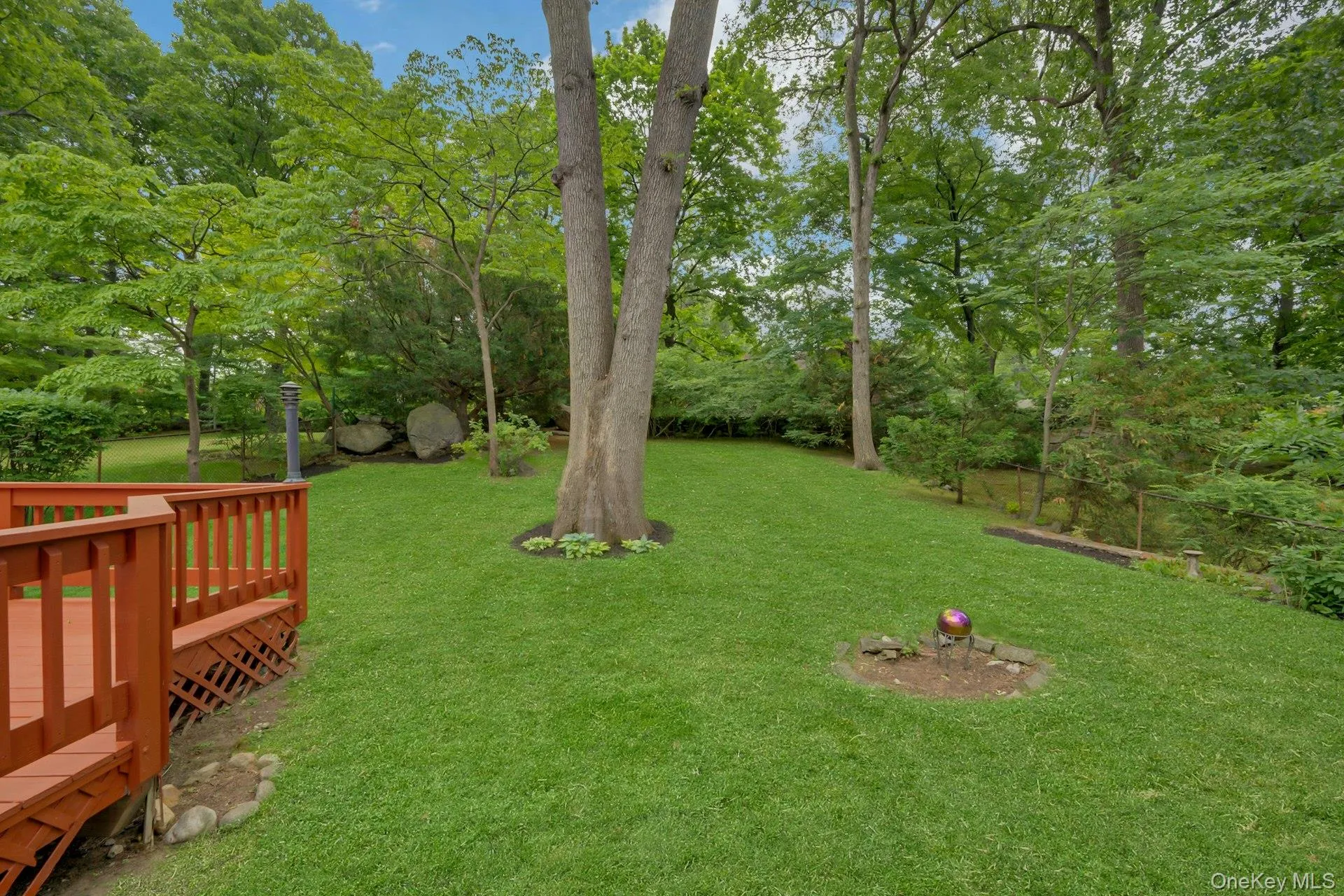 Backyard view from patio featuring mature oak tree and adjacent deck Backyard view from patio featuring mature oak tree and adjacent deck