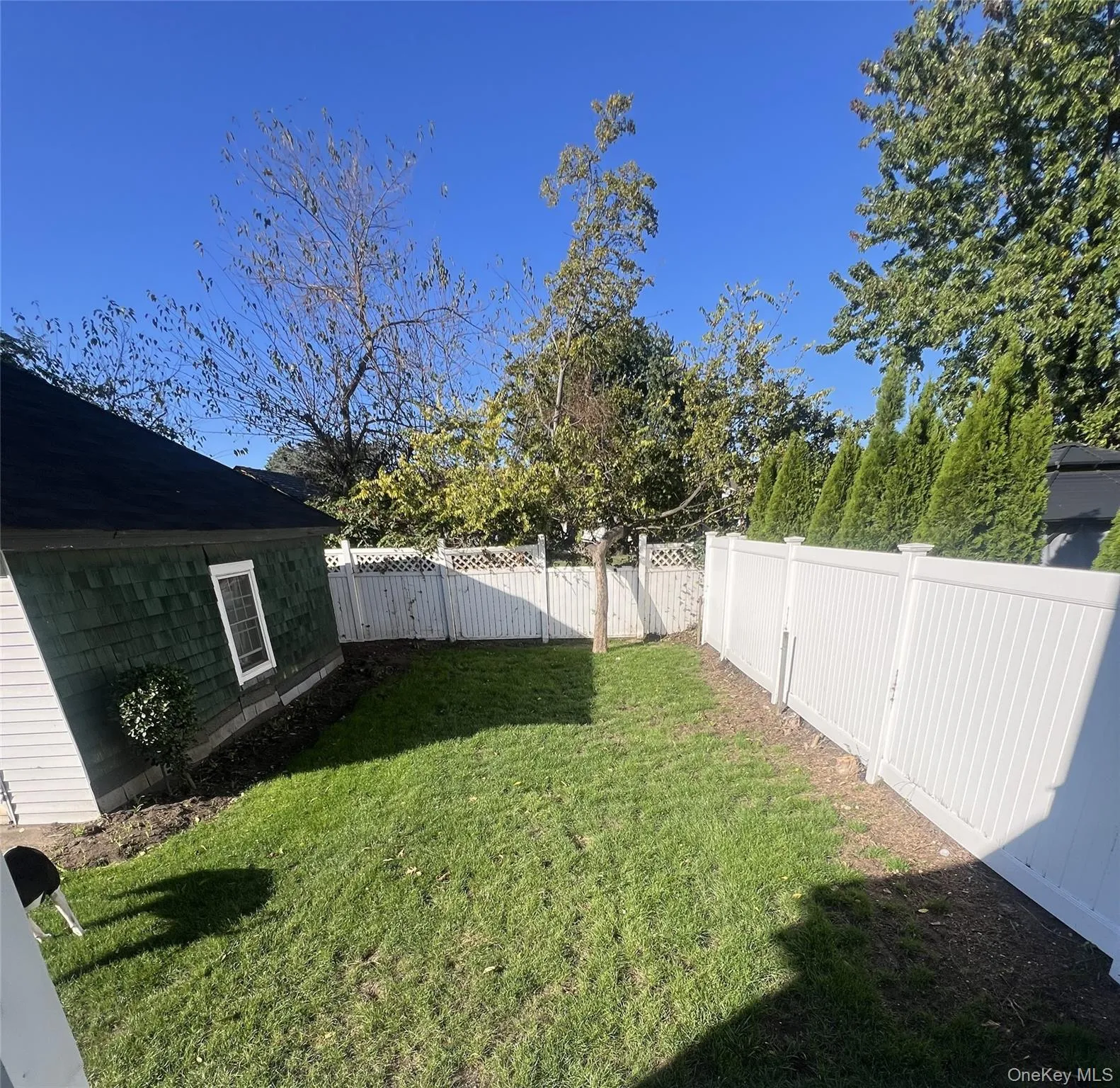 309 Franklin Avenue, Hempstead, NY, 4 Bedrooms Bedrooms, 12 Rooms Rooms,2 BathroomsBathrooms,Residential Lease,For Rent,Franklin,0,986423 309 Franklin Avenue, Hempstead, NY, 4 Bedrooms Bedrooms, 12 Rooms Rooms,2 BathroomsBathrooms,Residential Lease,For Rent,Franklin,0,986423