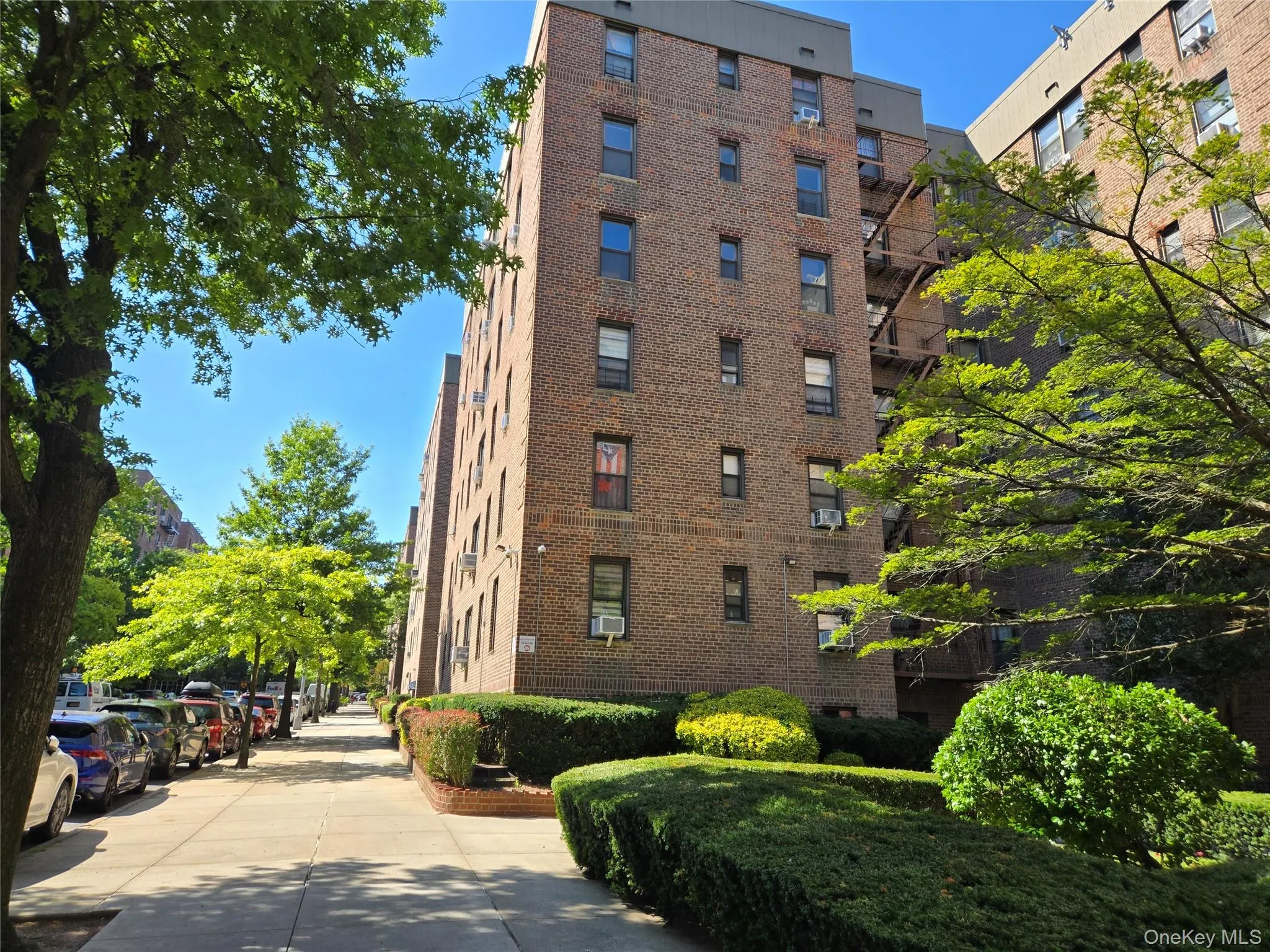 83-25 98th Street, New York, NY, 2 Bedrooms Bedrooms, 5 Rooms Rooms,1 BathroomBathrooms,Residential,For Rent,98th,0,986438 83-25 98th Street, New York, NY, 2 Bedrooms Bedrooms, 5 Rooms Rooms,1 BathroomBathrooms,Residential,For Rent,98th,0,986438