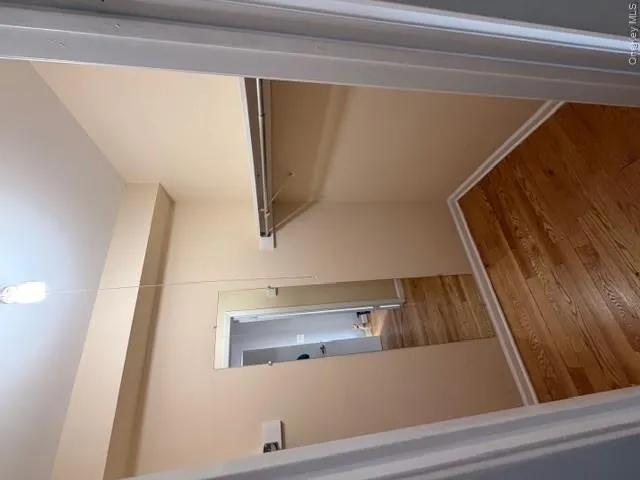 Walk-in closet featuring hardwood floors, a hanging rod, and a mirror Walk-in closet featuring hardwood floors, a hanging rod, and a mirror